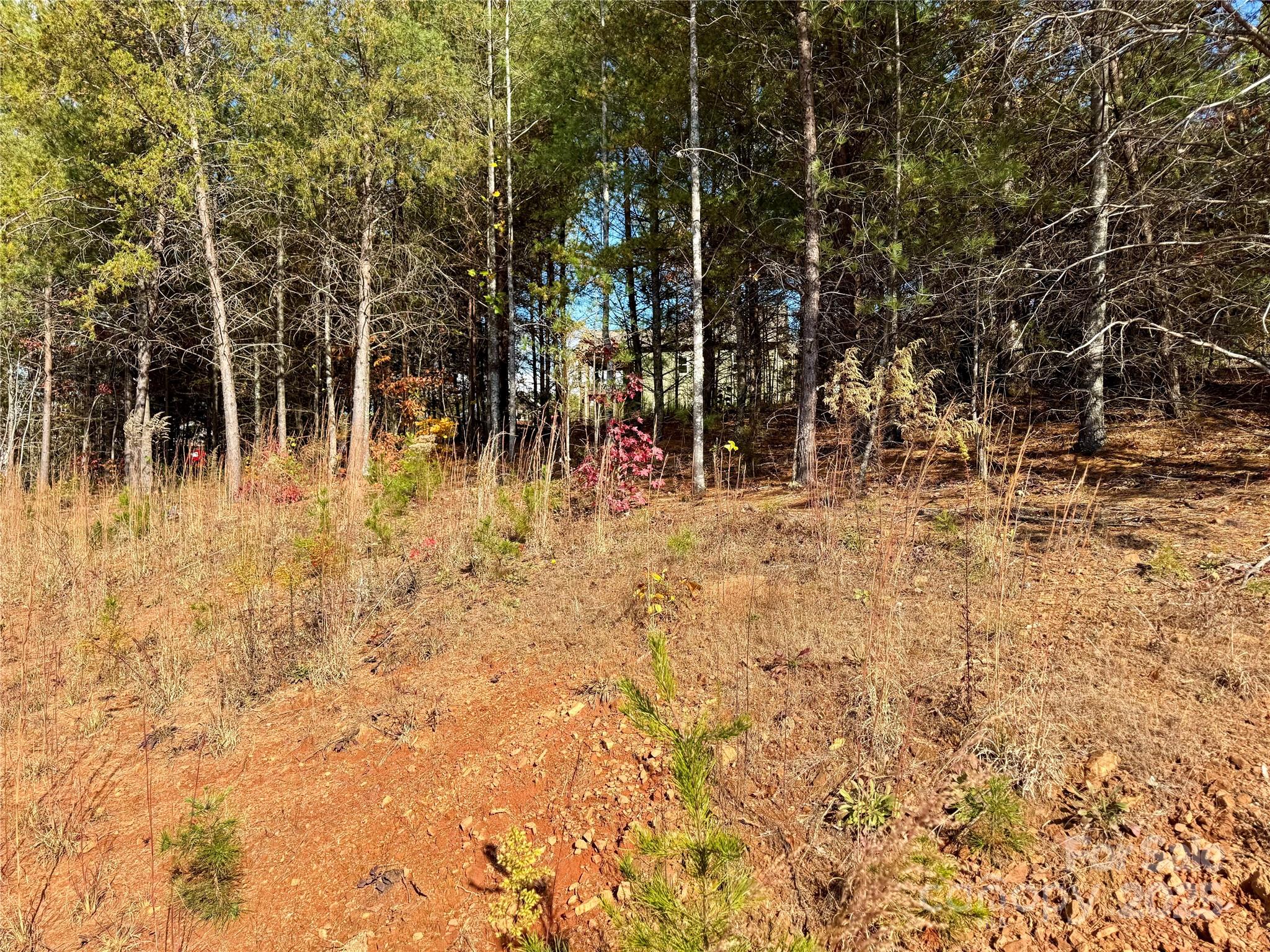 The Coves Mountain River Club - Land