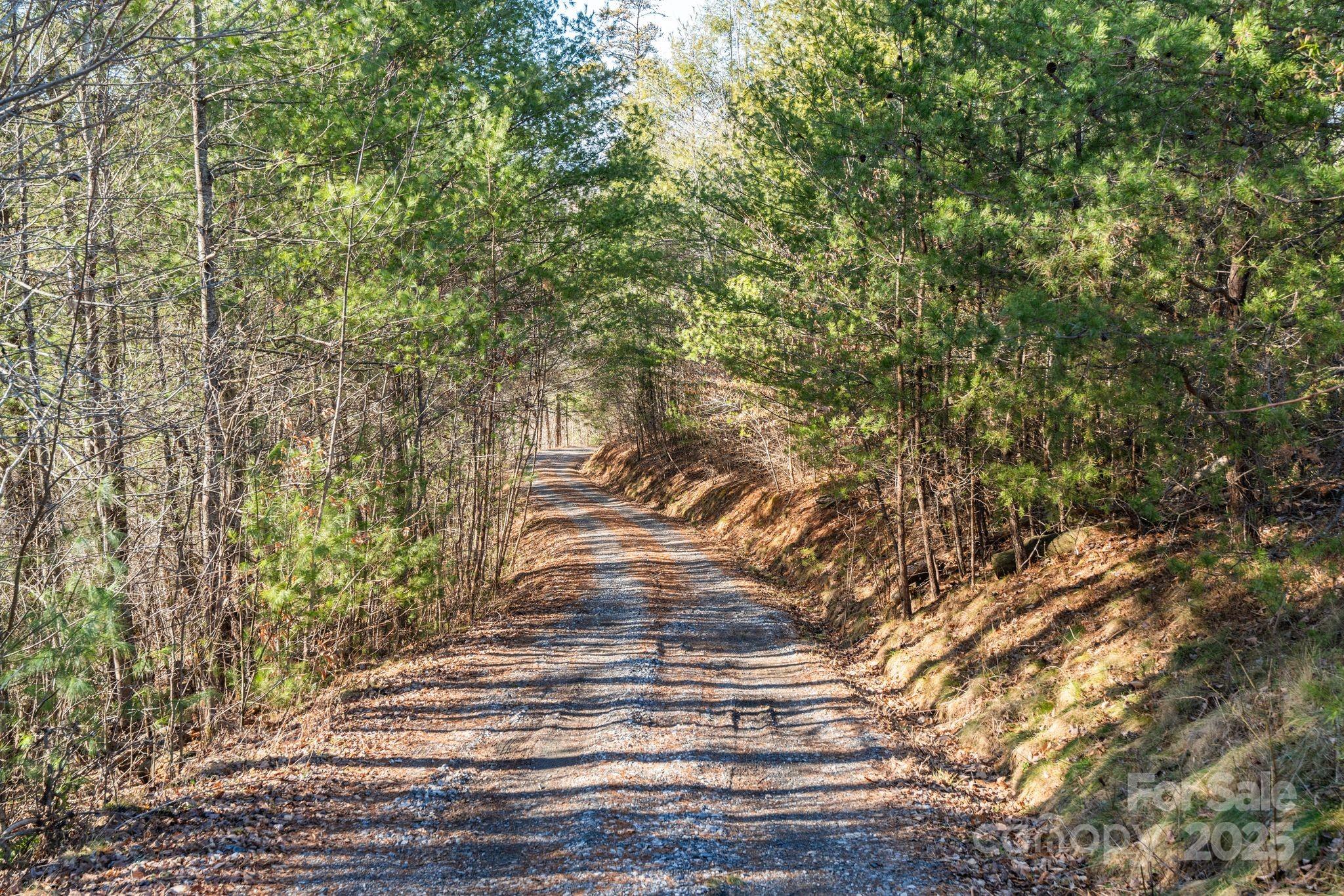 Ivy River Bluffs - Land