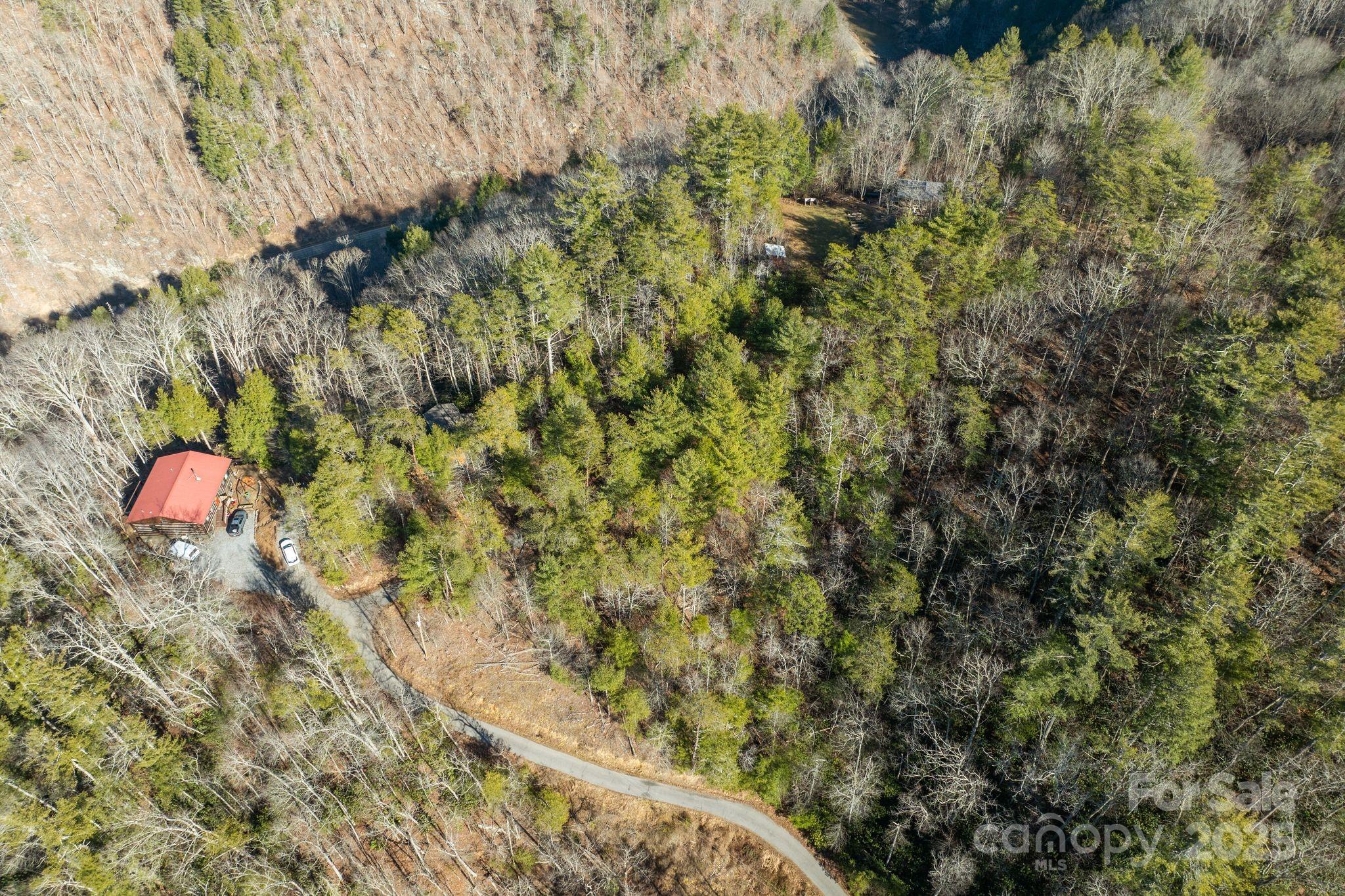 Ivy River Bluffs - Land