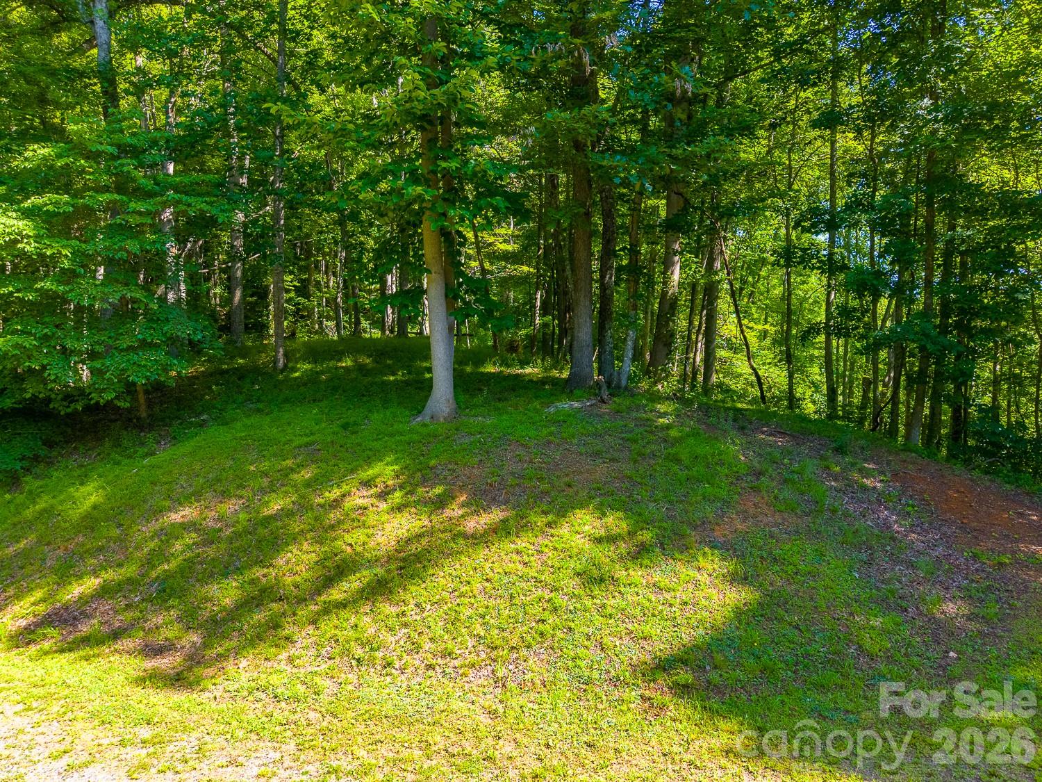 Cane Creek Ridge - Residential