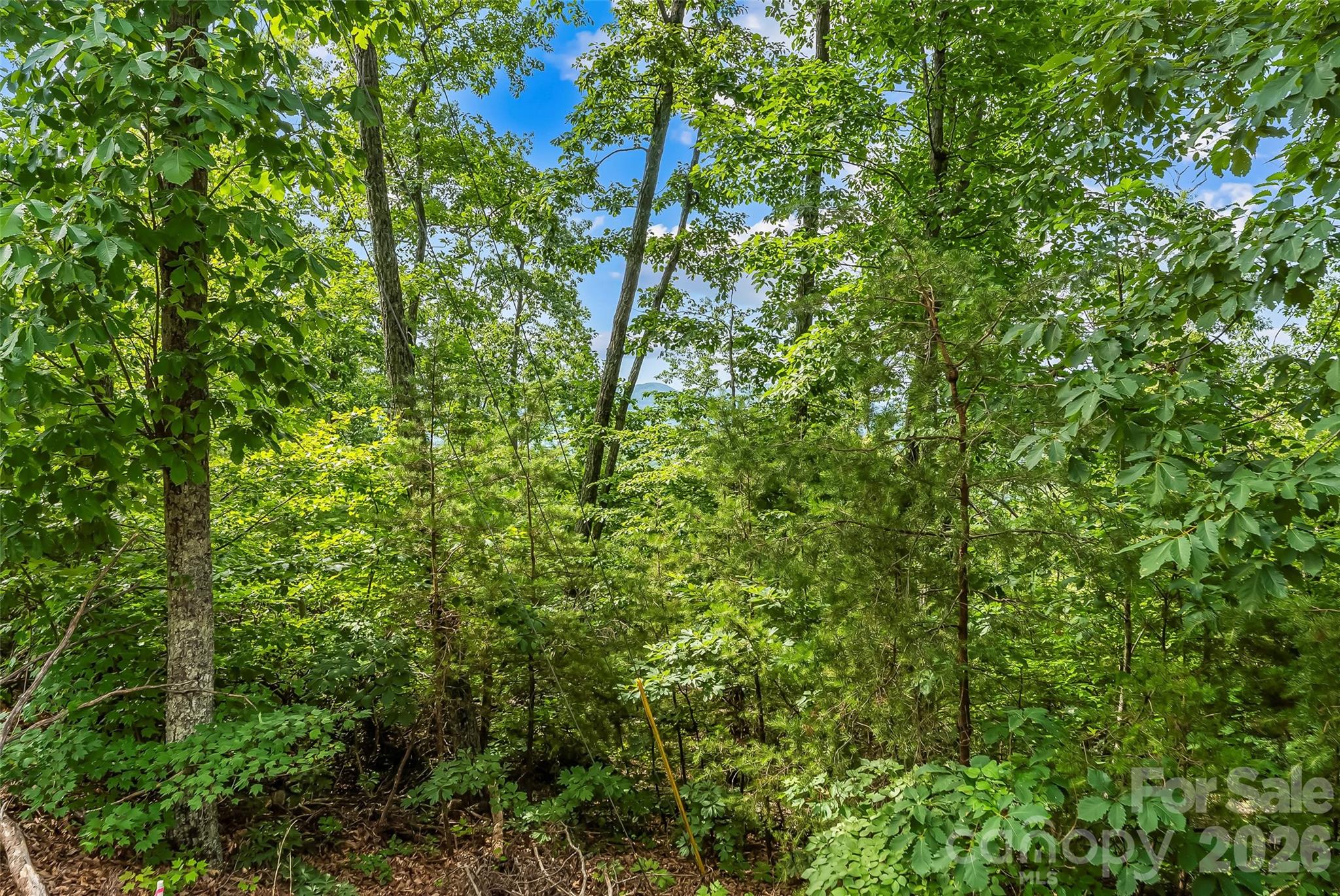 Yellowtop Mountain Estates - Residential