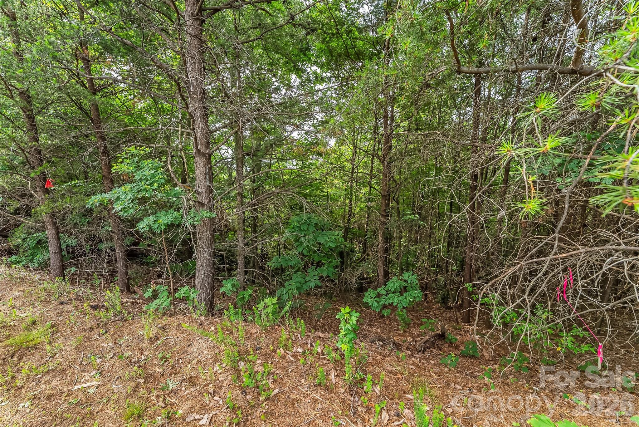 Yellowtop Mountain Estates - Residential