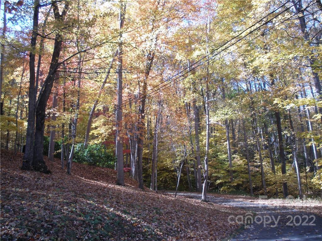 maggie valley leisure estates - Land
