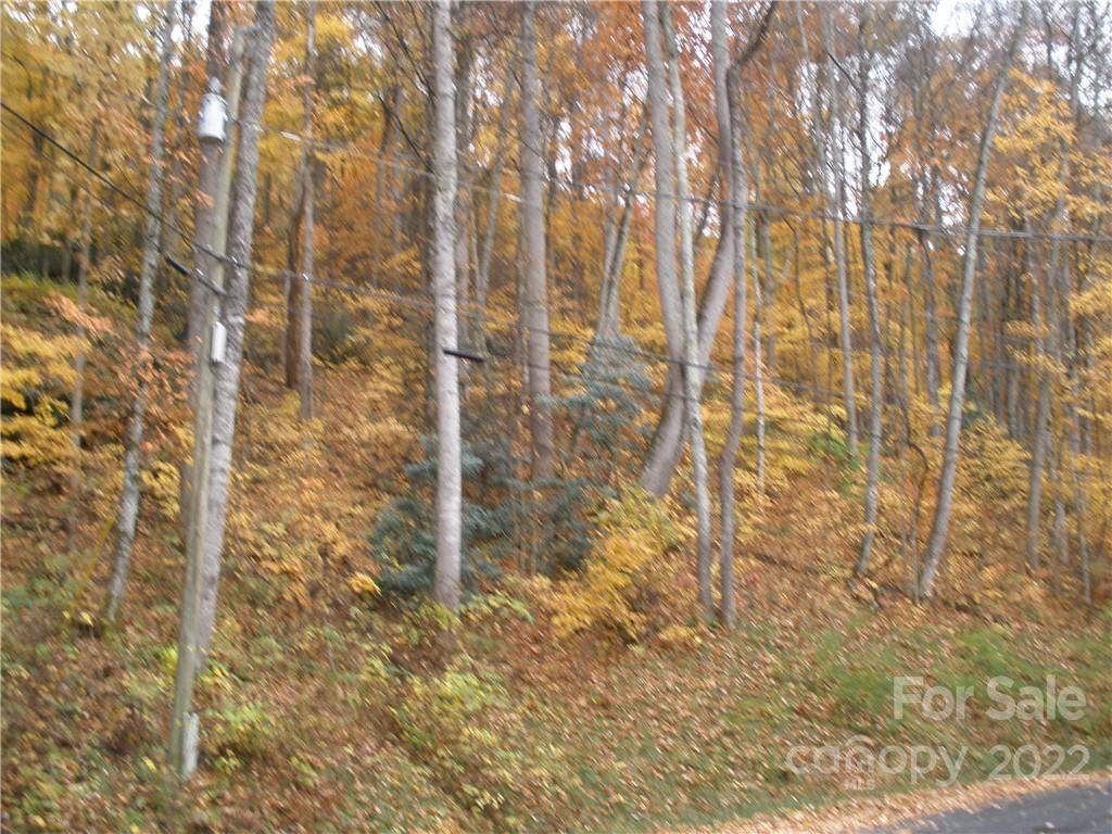 maggie valley leisure estates - Land
