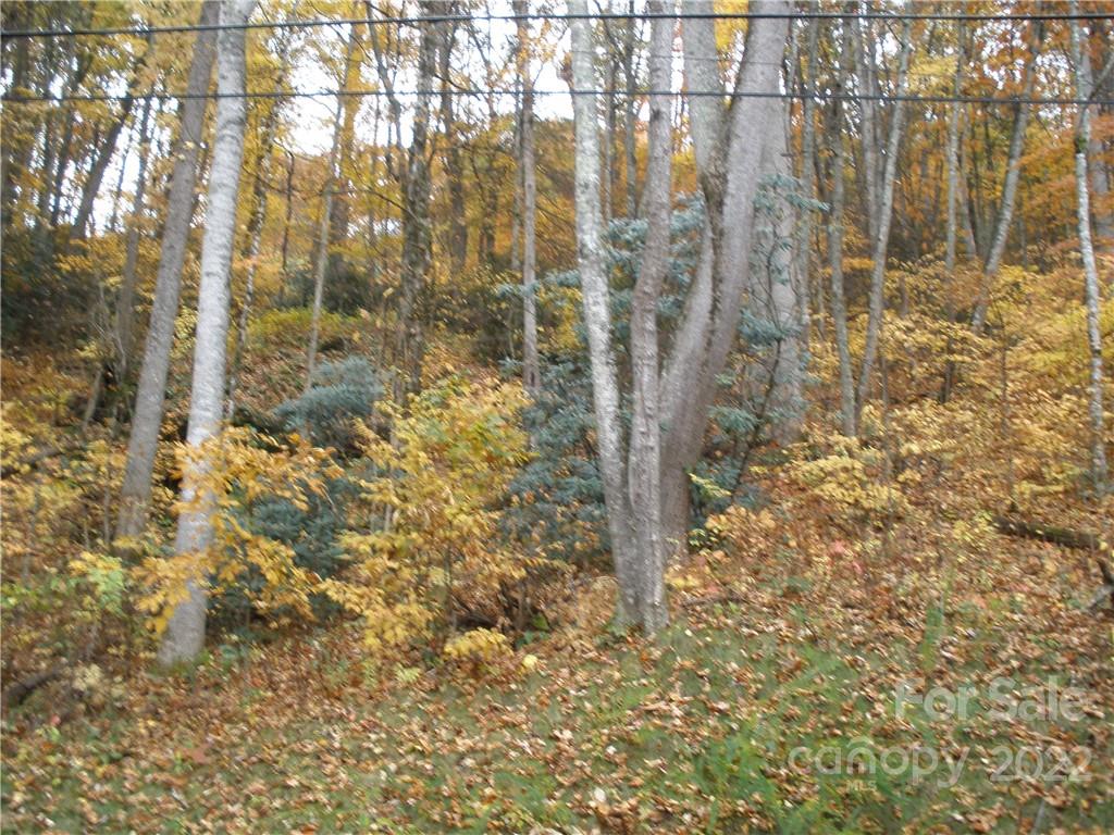 maggie valley leisure estates - Land