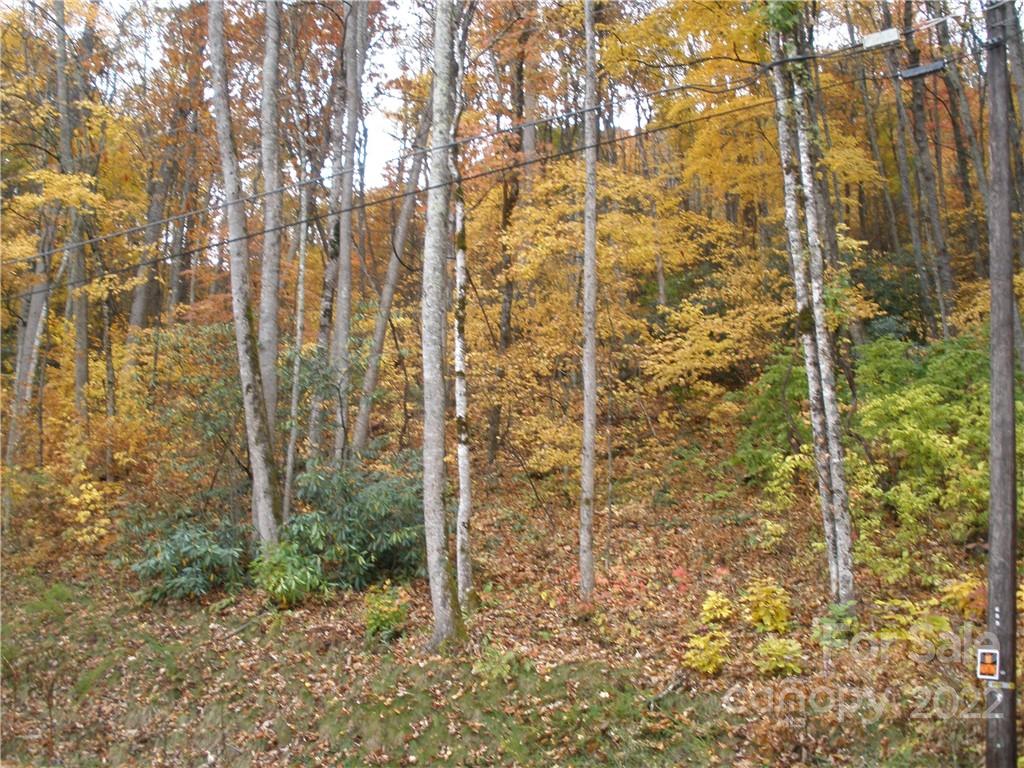 maggie valley leisure estates - Land