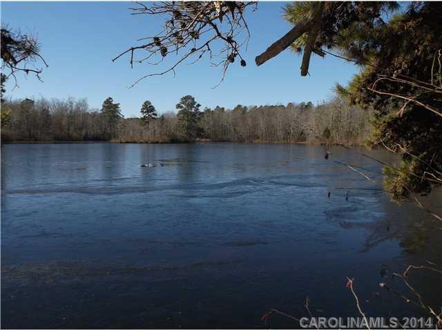 Own this wooded acreage with pond frontage located "off the beaten path".  Property is bordered by a running creek and a 10+- acre pond. It could be a future home site or just the get away spot you want for fishing or enjoying the wildlife. This is the only lot WITHOUT deed restrictions in the subdivision.  Access is via deeded easement. Owner financing available with terms acceptable to seller.