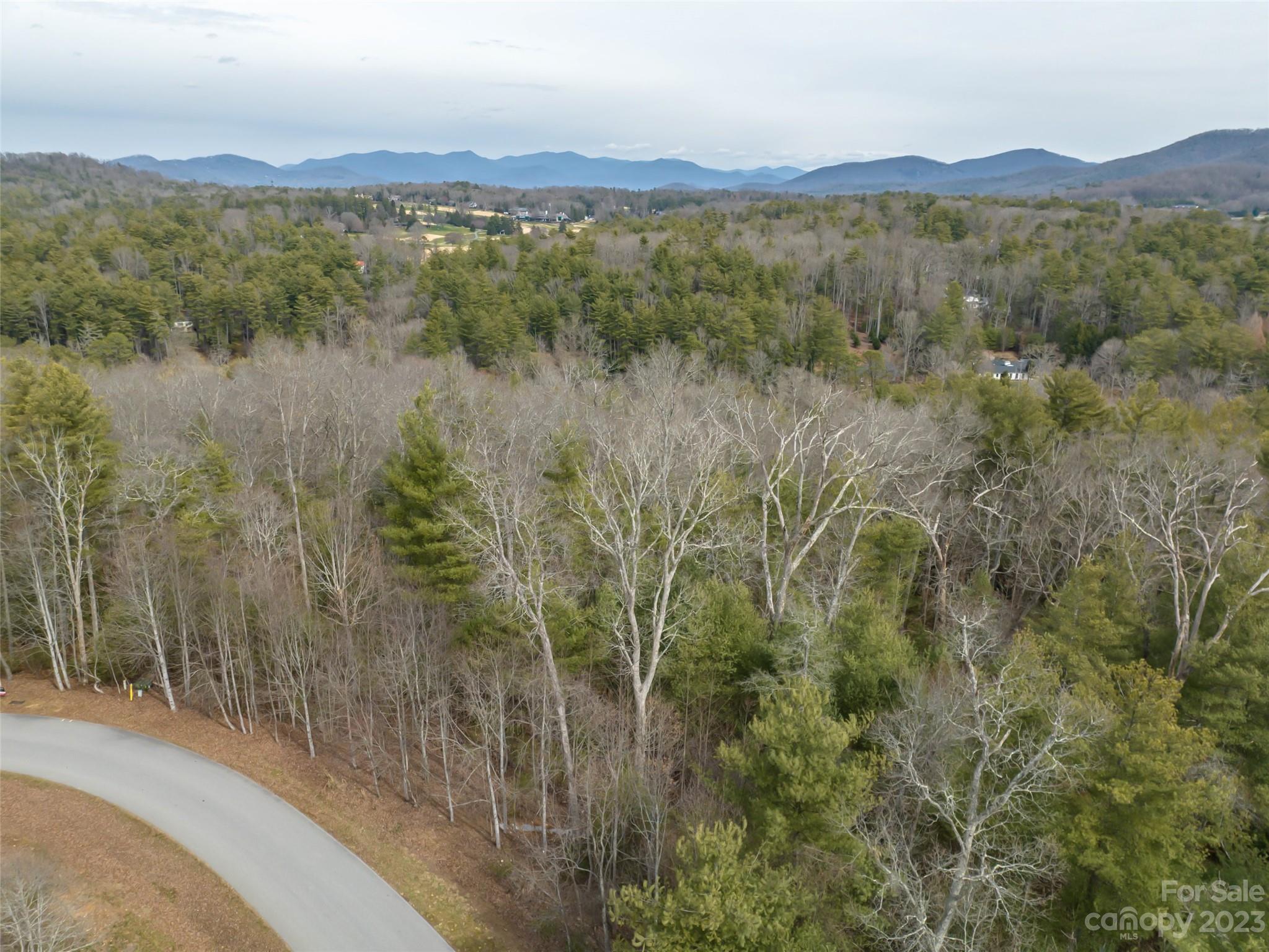 Biltmore Forest - Land