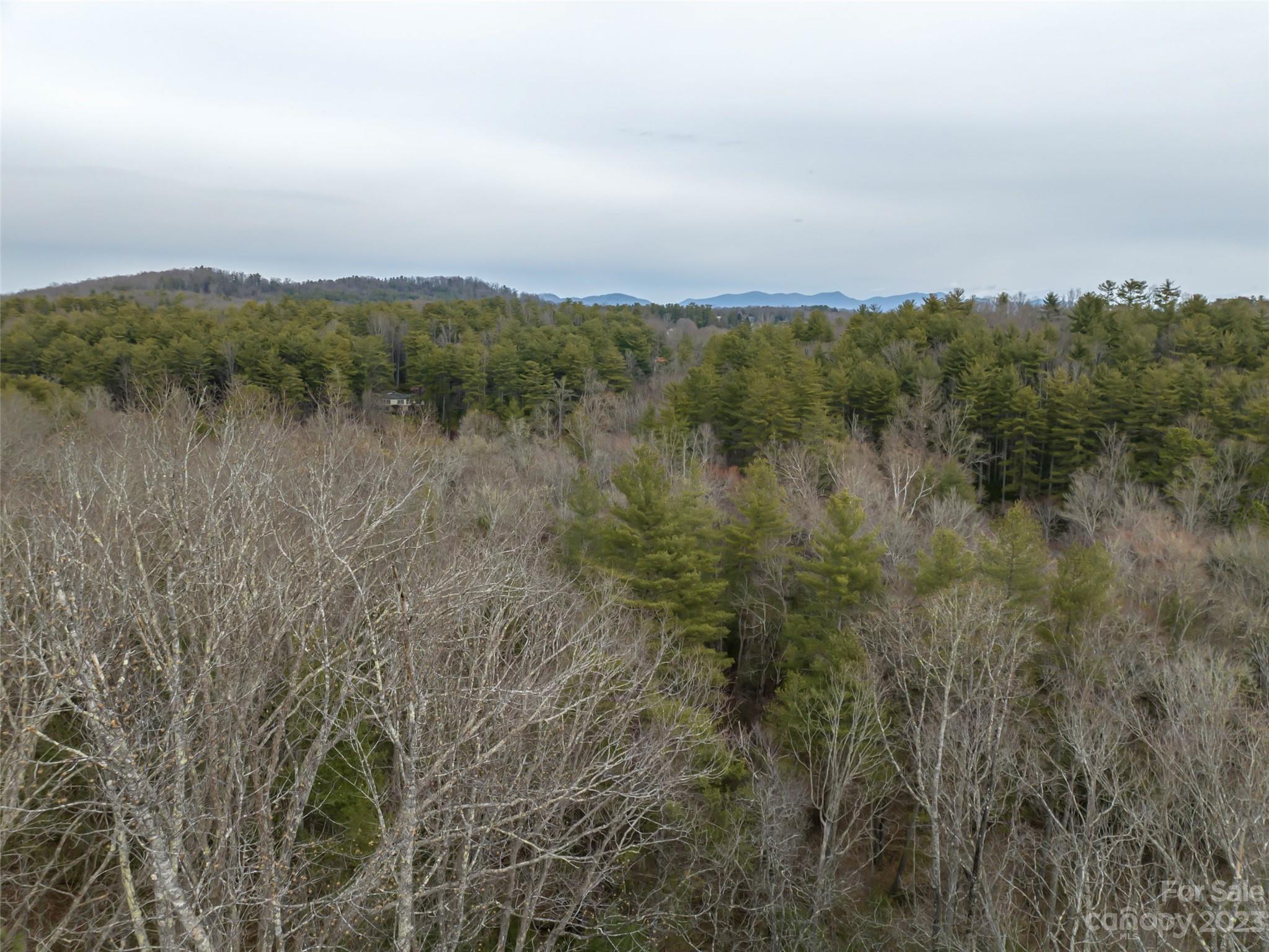 Biltmore Forest - Land