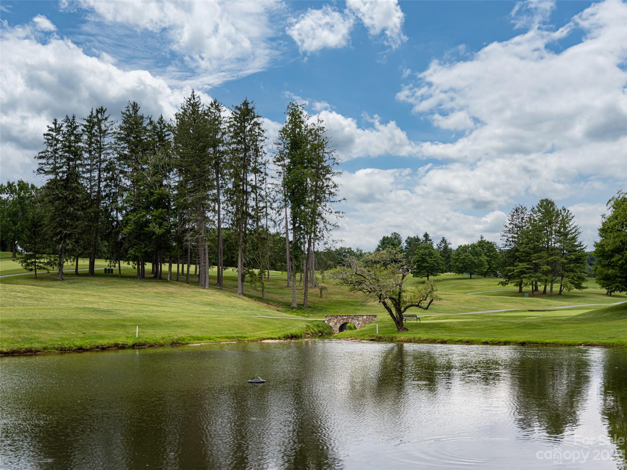Biltmore Forest - Land