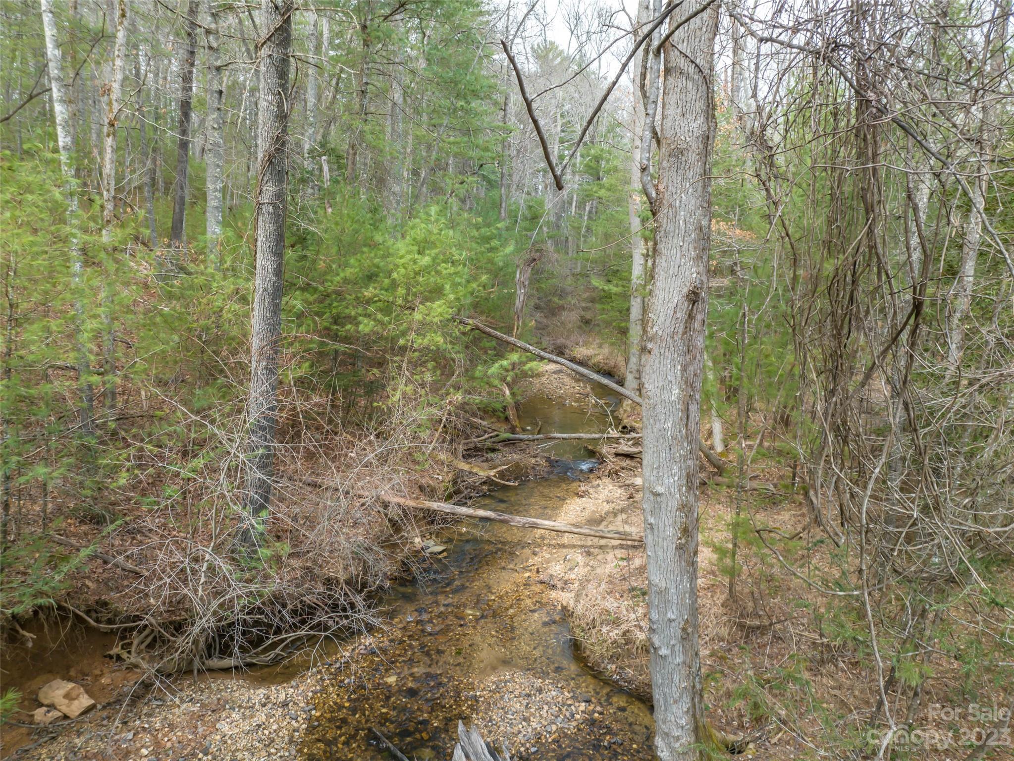 Biltmore Forest - Land