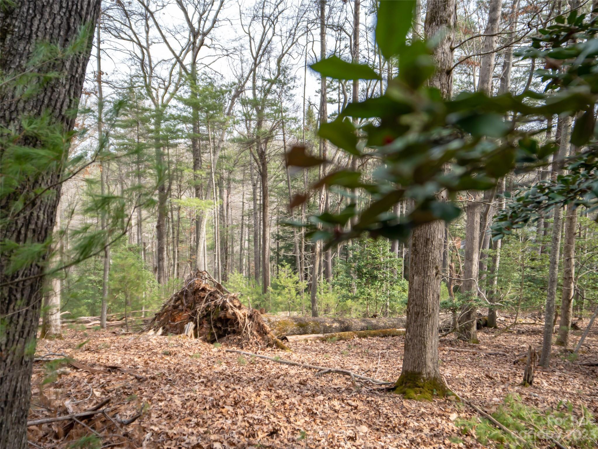 Biltmore Forest - Land