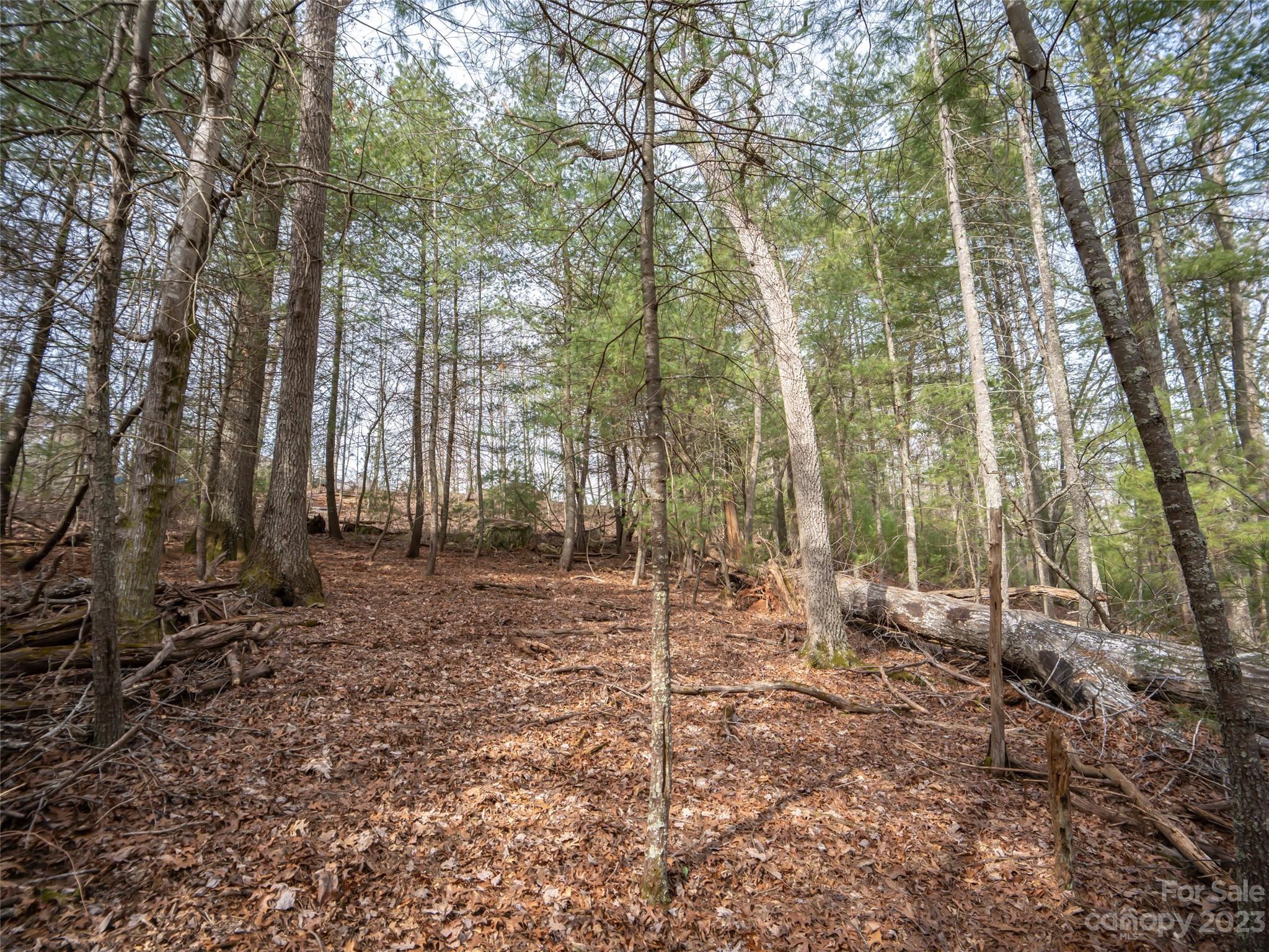 Biltmore Forest - Land