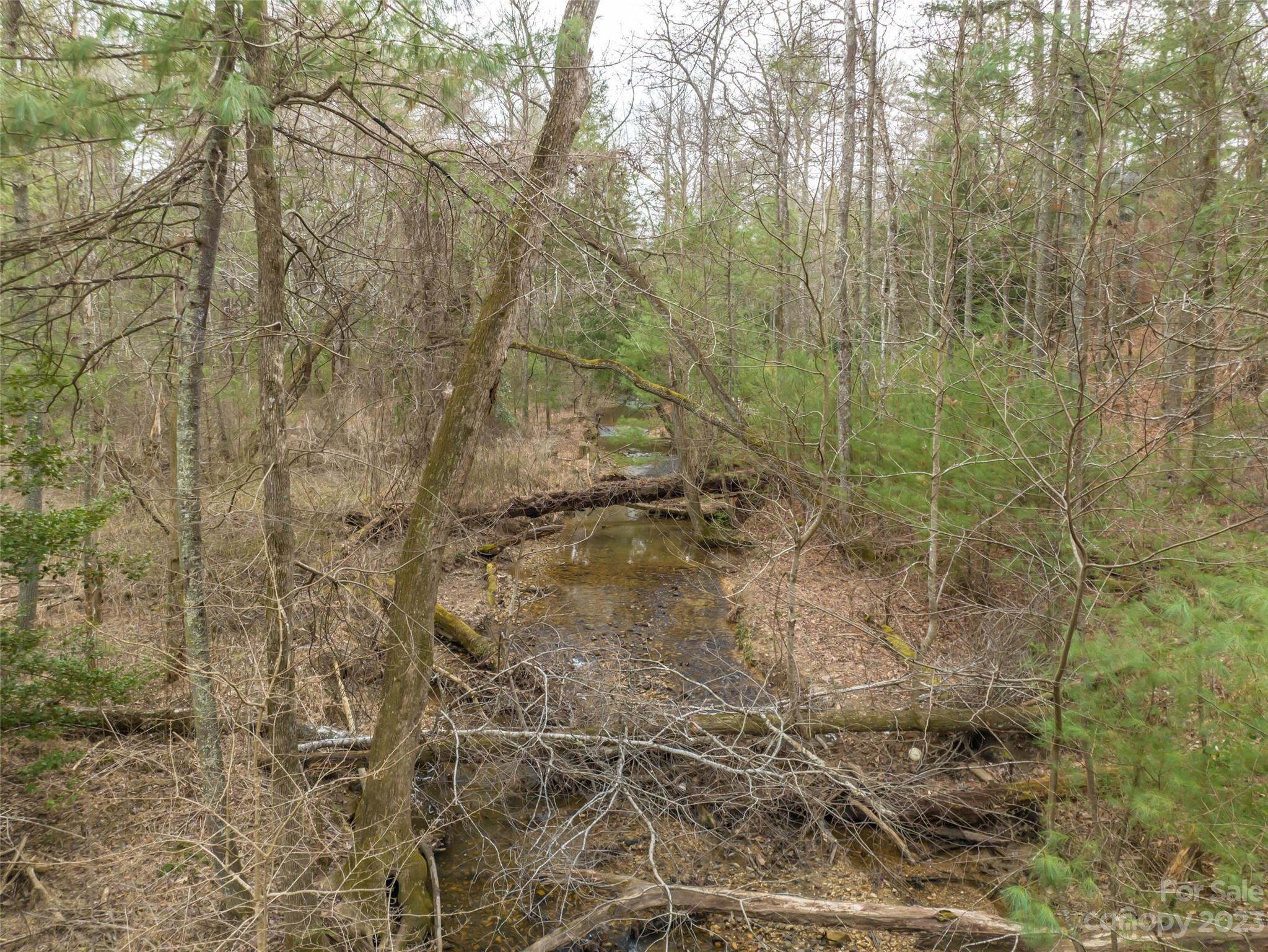 Biltmore Forest - Land