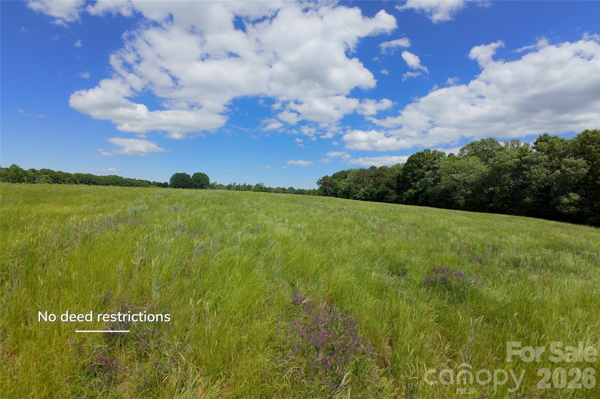 10.3 acre (lot #1) conveniently located just outside Harmony in Iredell County, NC, this property offers a mix of usability and privacy. A new survey has been completed, public water available, fiber available, and power available. Soils are suitable for 4+ bedroom septic systems on each lot, with gentle topo building sites, creek access, a rolling hay field, and mature hardwood forest. The property fronts a paved public road and has no deed restrictions, giving you a flexibility for your plans. Low country property taxes at 0.59% add to the appeal. Peaceful and rural, yet still only 10 minutes to Harmony, 20 minutes to Mocksville, 30 minutes to Statesville, 35 minutes to Winston-Salem, and about an hour to Charlotte. Visit listing agent's website to access interactive map, attachments, and watch video tour.