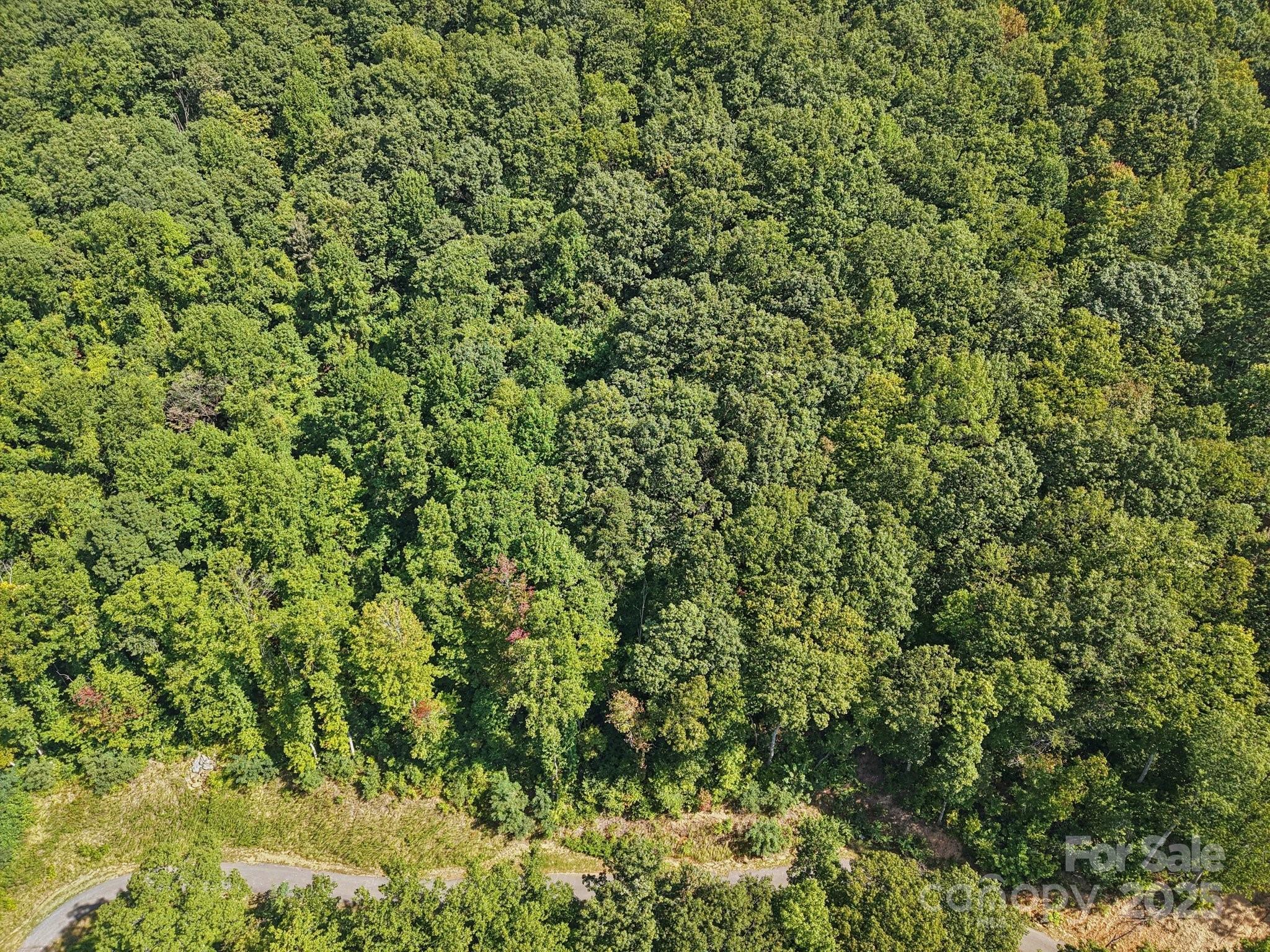 The Summit of Asheville - Land