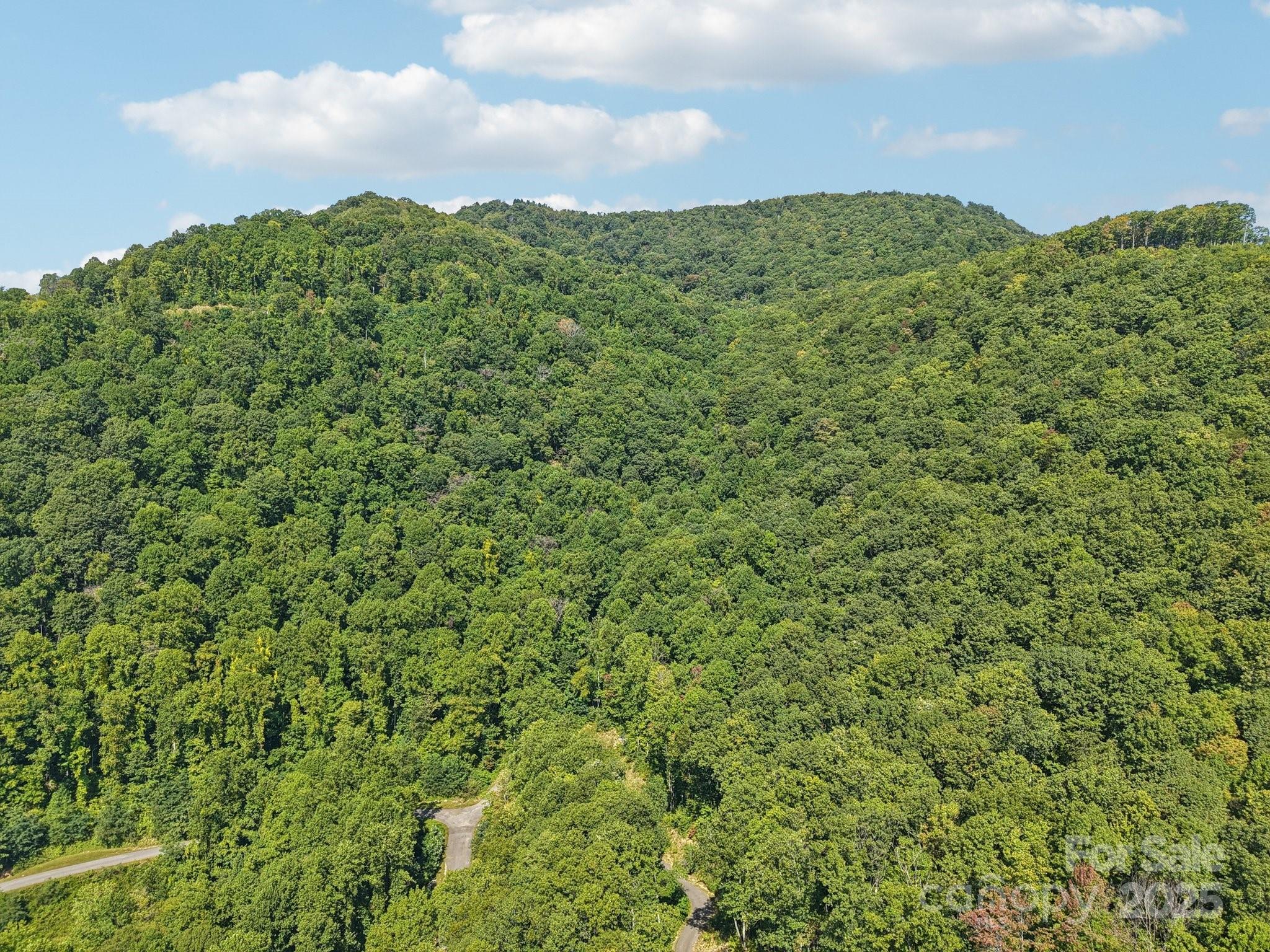 The Summit of Asheville - Land