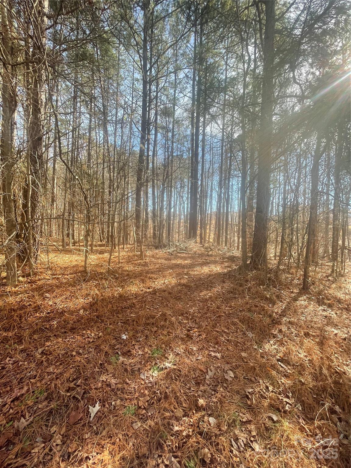 Lake Norman Air Park - Land