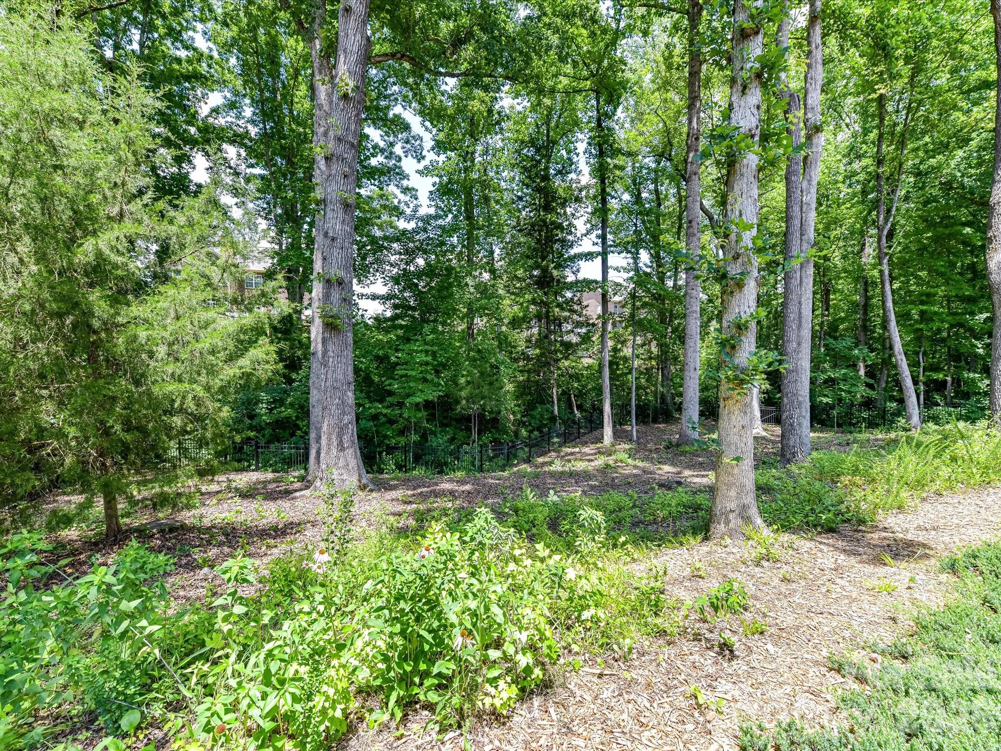 Cureton - Residential
