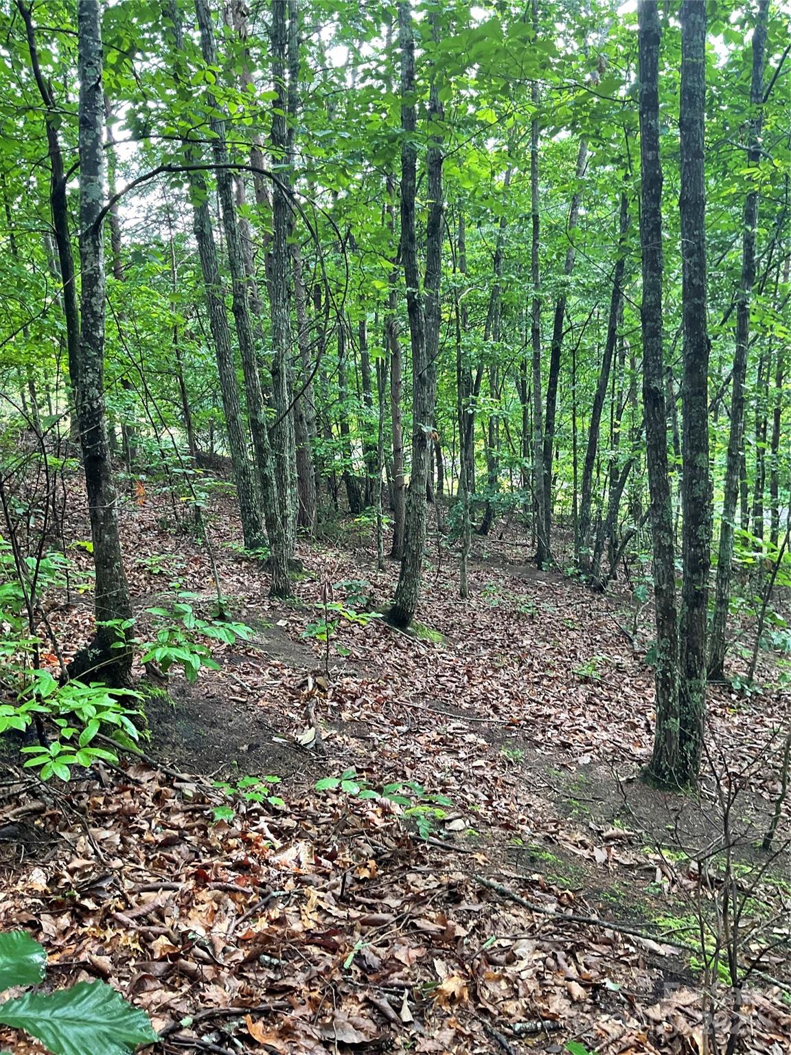 Pineknoll - Land