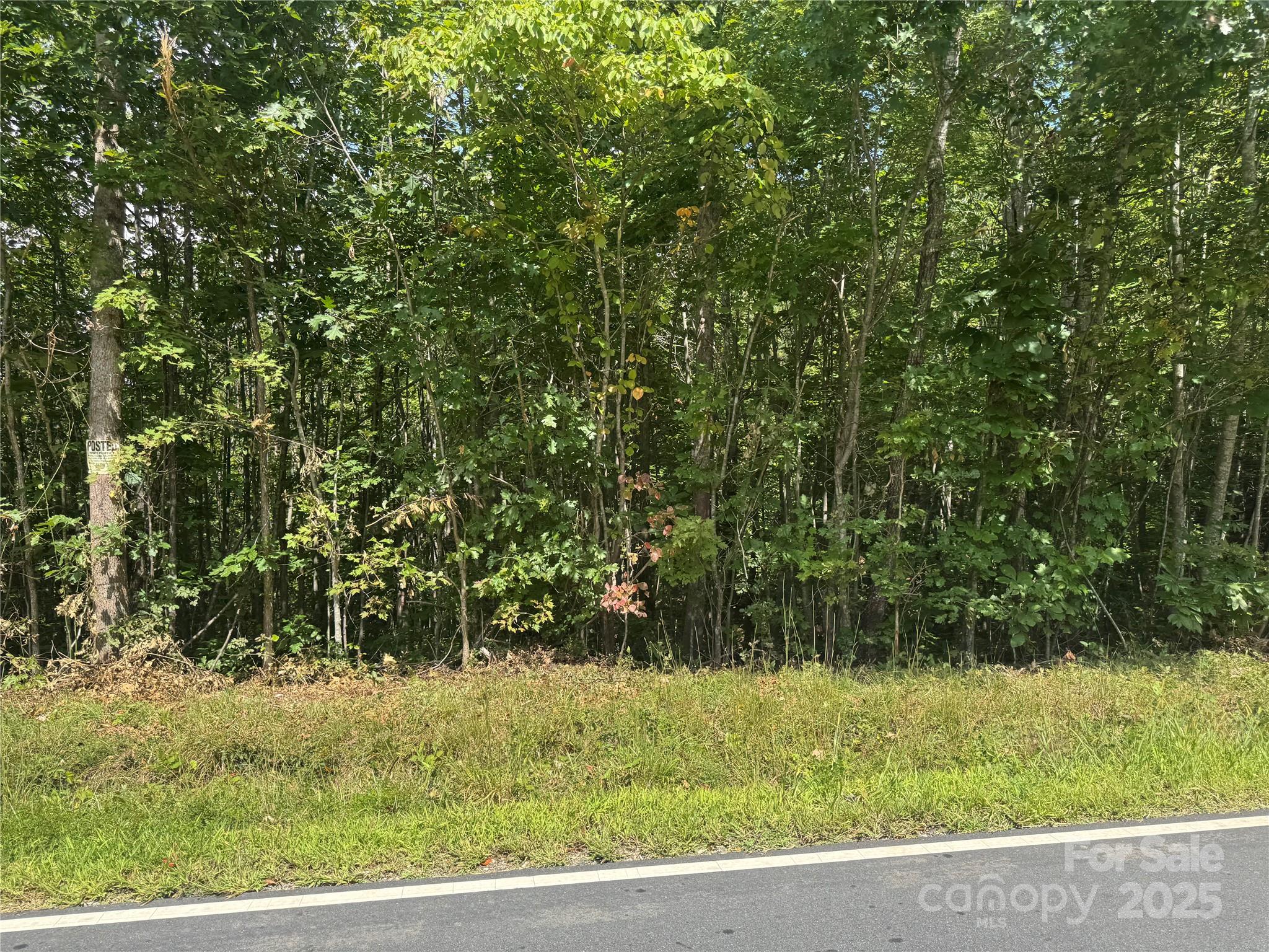 Unrestricted Land! Great investment opportunity for 19+ acres of land. Whether you want to use for 
recreational activities or plan a future build site, this property offers unlimited possibilities 
with no discovered restrictions on the property. This per acre price is great value! 
Outdoorsman will love this property.  Minutes from Wilson Creek.
