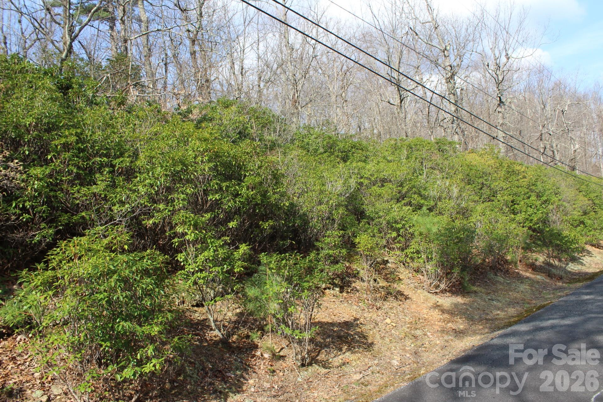 White Oak Mountain - Land