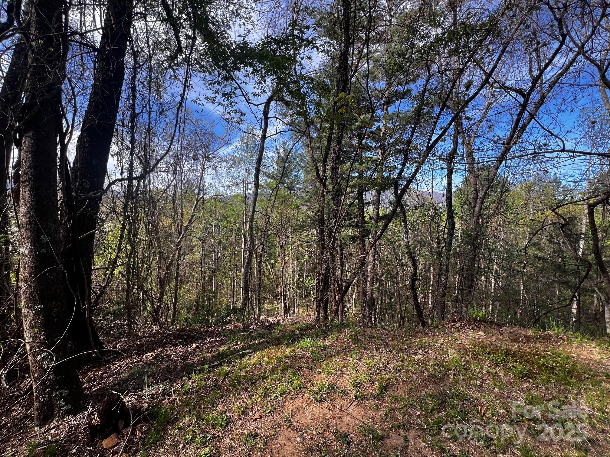 Springdale Estates - Land