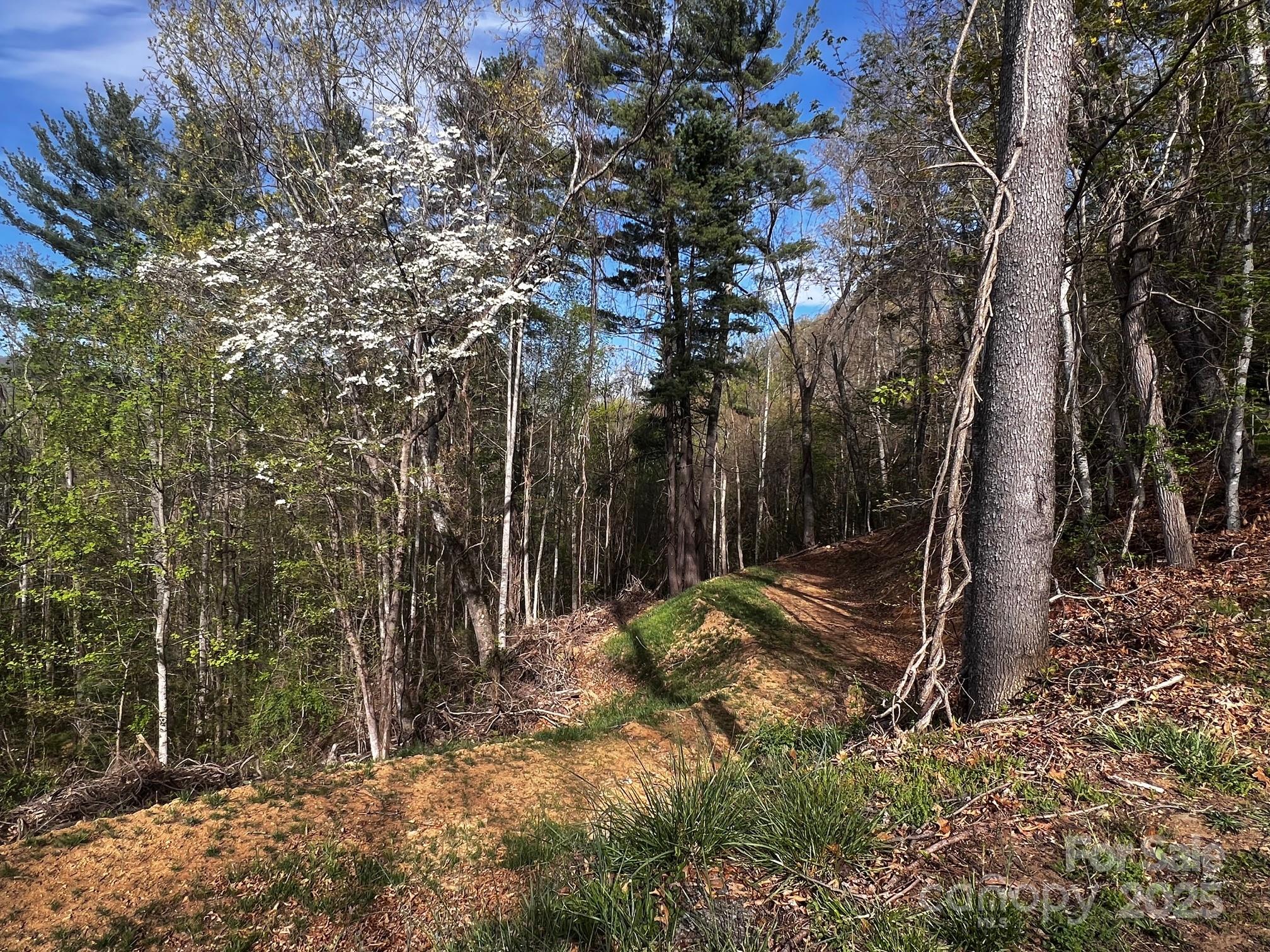 Springdale Estates - Land