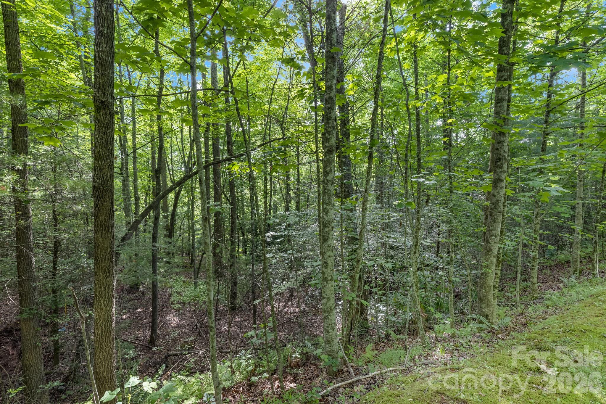 Straus Park - Land