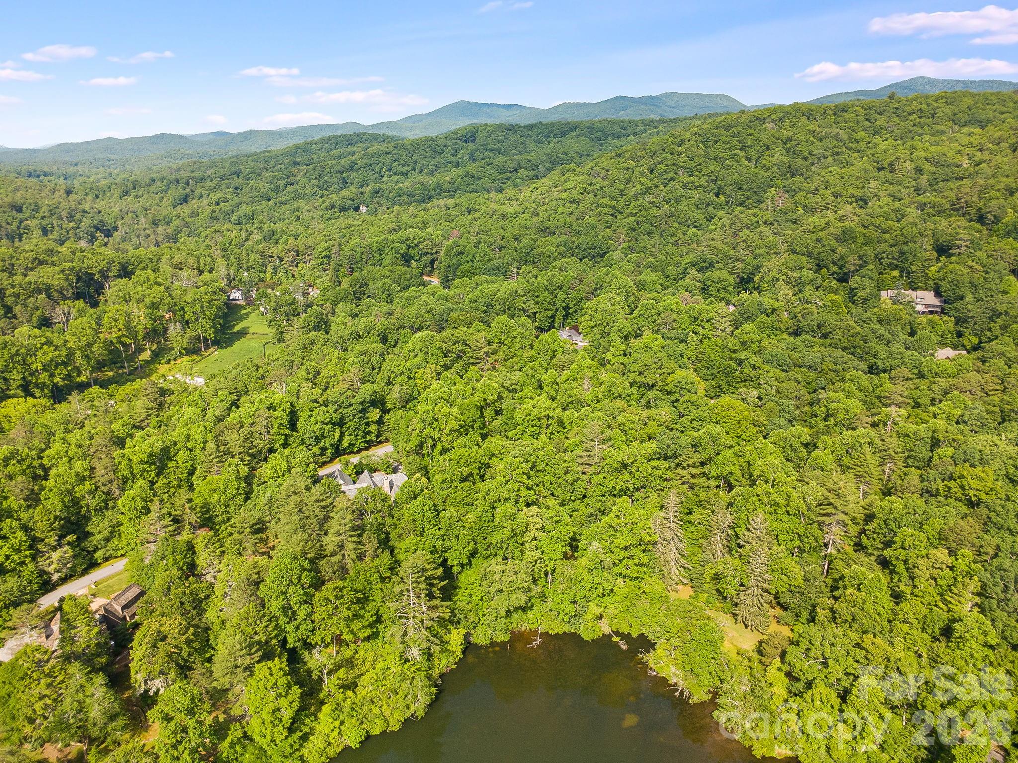 Discover the perfect canvas for your mountain dream home on this exceptional waterfront homesite in Straus Park. Offering a rare combination of tranquility, natural beauty, and convenience, this vacant lot provides the opportunity to create a custom residence that reflects your vision while adhering to the distinguished architectural standards of the Straus Park Architectural Review Board.

Nestled in a peaceful setting with water views and surrounded by the beauty of the Blue Ridge Mountains, this property offers an ideal balance of privacy and accessibility. Enjoy easy access to downtown Brevard, local shops and restaurants, and the greenway. This location is just minutes to Pisgah National Forest and a short distance to DuPont State Forest for any outdoor enthusiasts.

As part of the Straus Park community, owners enjoy access to a clubhouse, private lake, swimming pool, tennis courts, walking trails, and beautifully maintained common areas. Whether you're envisioning a full-time residence or a mountain retreat, this waterfront lot presents a rare opportunity to build in one of Brevard's premier communities.