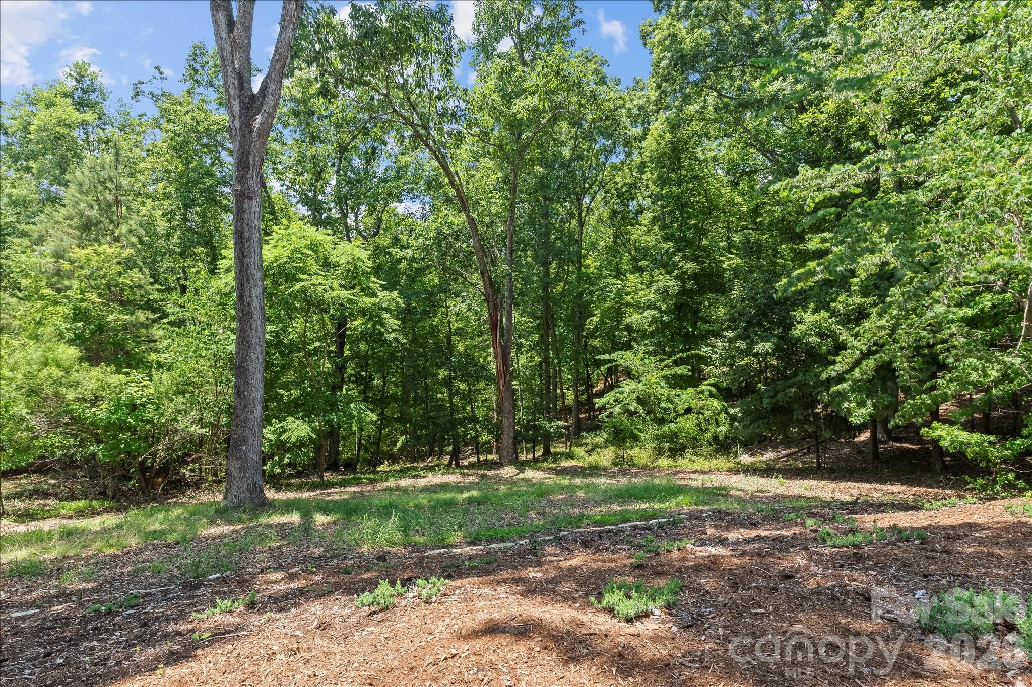 The Springs At High Rock - Residential
