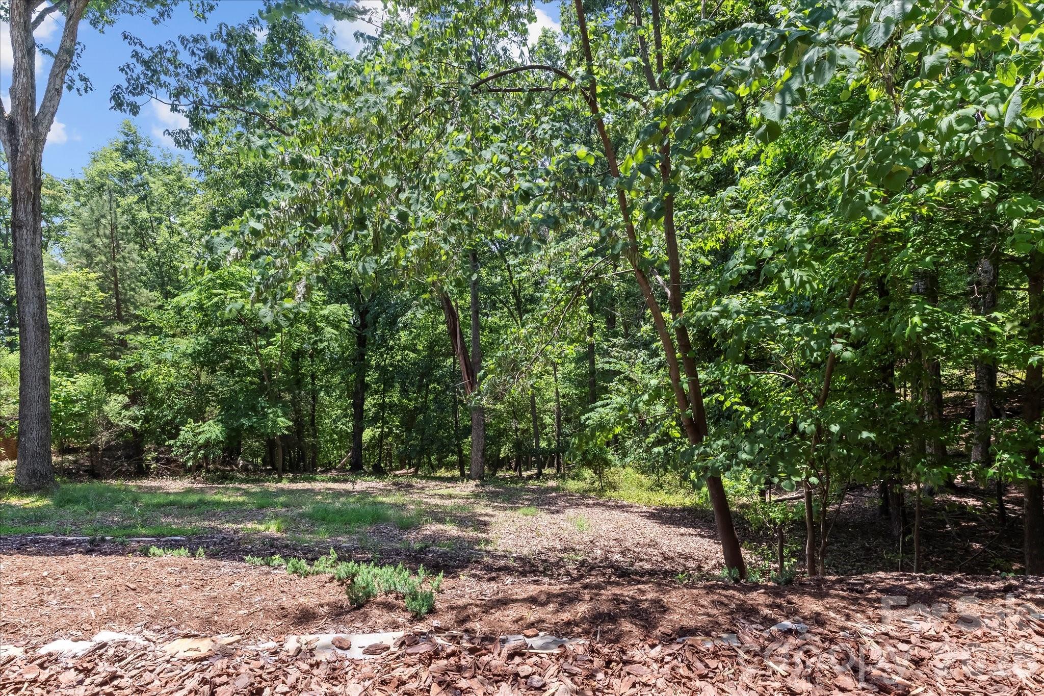 The Springs At High Rock - Residential