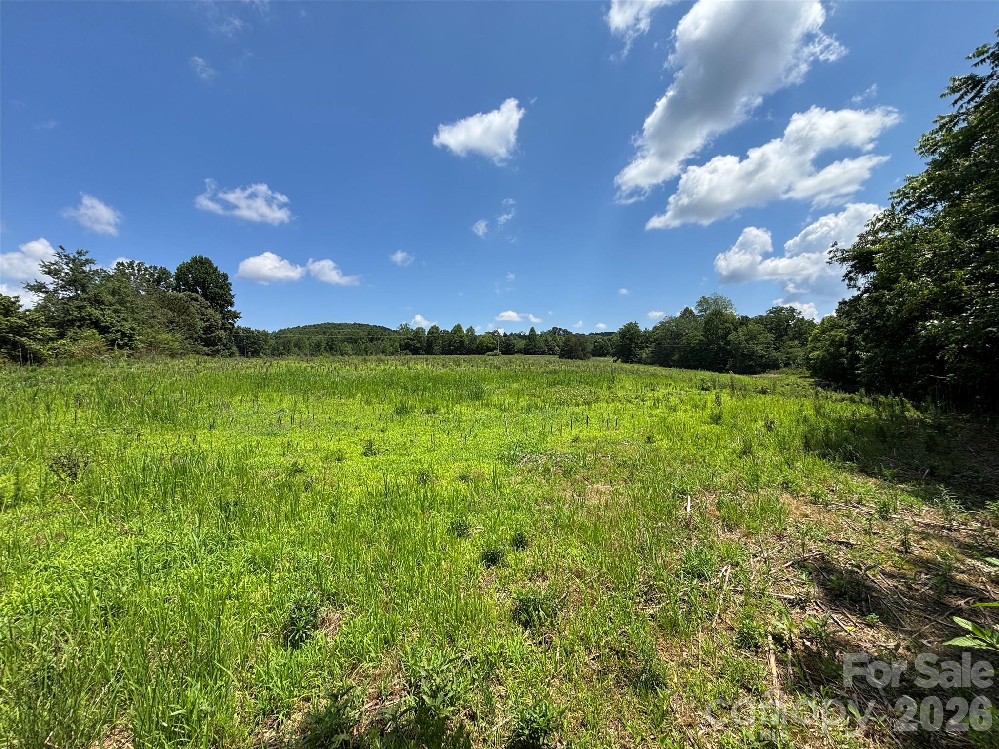 12+ acres of mostly cleared land, located in sought after North Iredell. No restrictions or HOA and ready for your plans. Build your dream home, farm, or workshop. Wide open land with country views and plenty of space to make yours.