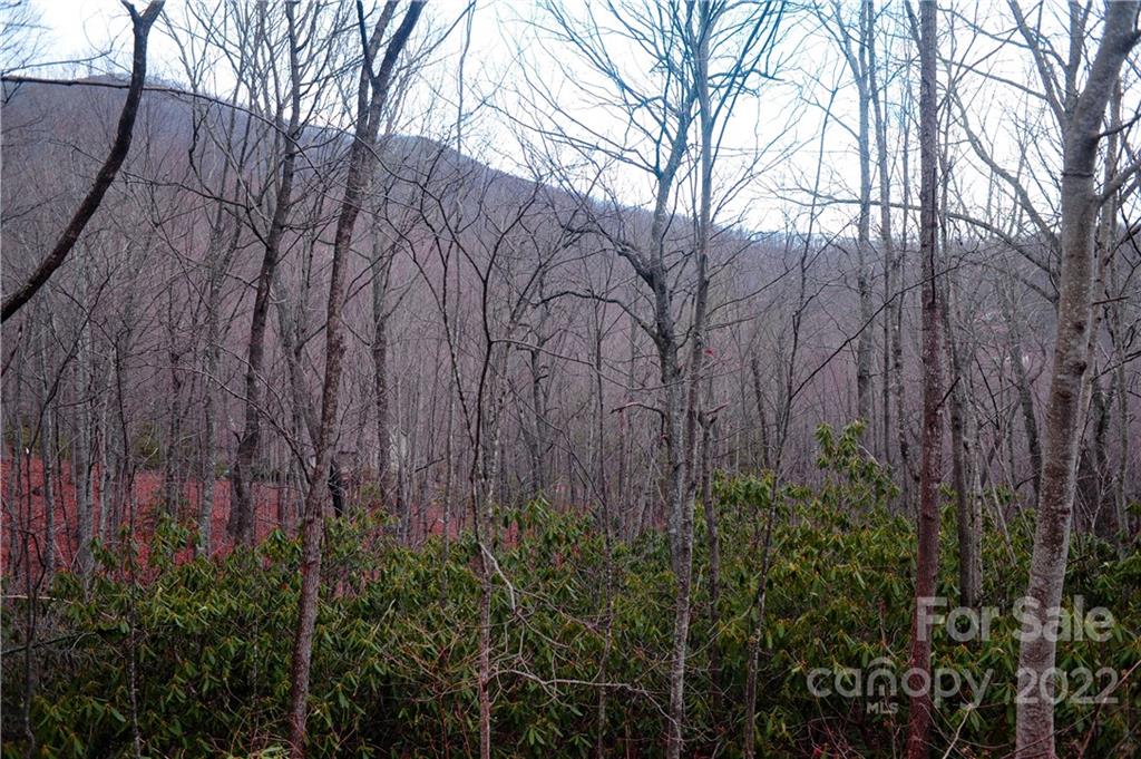 Laurel Ridge - Land
