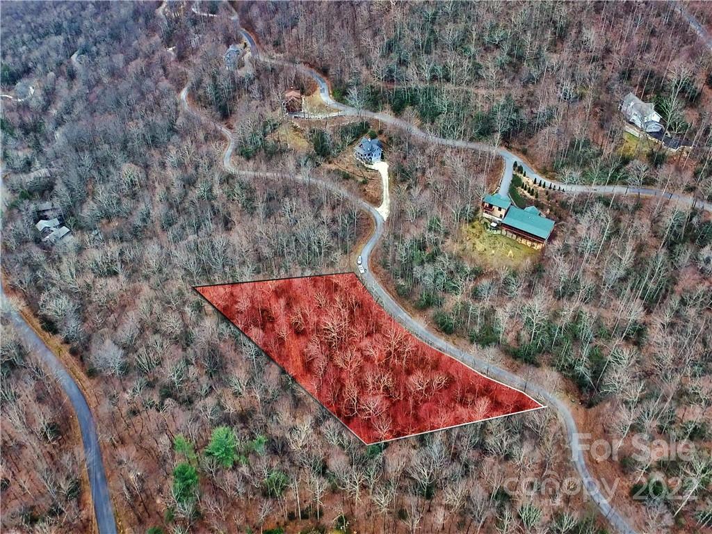 Motivated seller! Make an offer! See today this lovely 10 percent slope, gentle building lot that combines privacy with winter mountain views. To better help you to visualize your new home, a topographical, boundary, and tree survey is on file and is available upon request. Laurel Ridge is a community of nearly 90 executive homes set amid 1,100 pristine acres and includes a fire substation, community center, a community water system, underground utilities, high-speed internet, and abundant wildlife. All this only 10 min to Black Mountain and 15 min to I-40.
