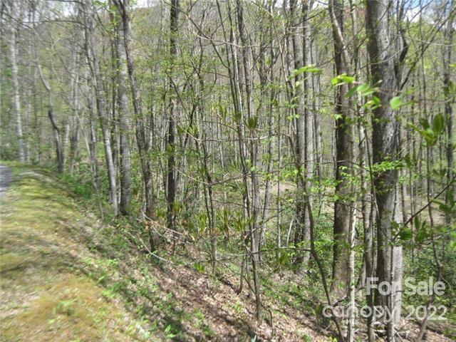 Laurel Ridge - Land