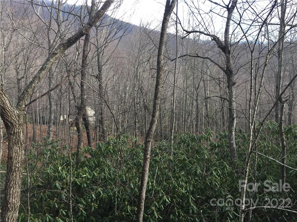 Laurel Ridge - Land
