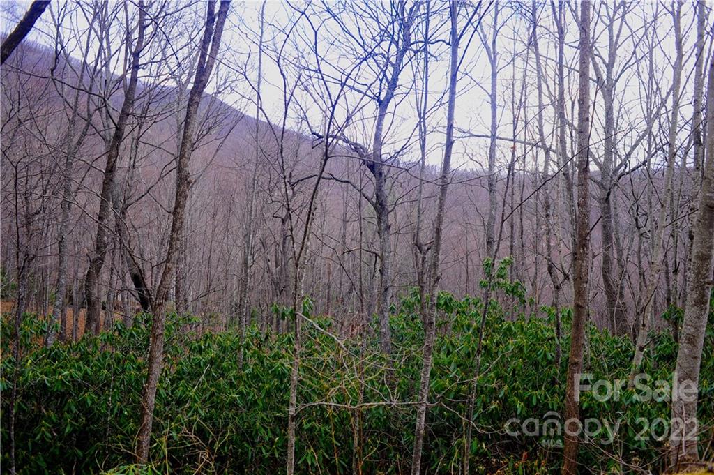 Laurel Ridge - Land