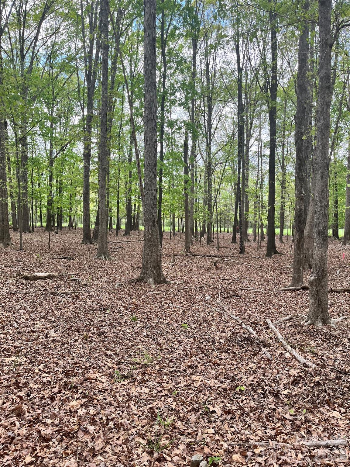 Over six acres of beautiful hardwoods in Union County ready for you to build a four bedroomed home of your choice.  Perc site is already completed and flagged, a well site will have to be located.  There is a nice level site towards the rear of the property where you can take advantage of a small clearing to the side for a garden.  While walking the property it feels very serene, a perfect size lot to create your own homestead. There is no physical numerical address but it is located between W Sandy Ridge Rd and JD Helms Rd on the right hand side from Monroe.  Attachments include survey plat, soil report and restrictions.