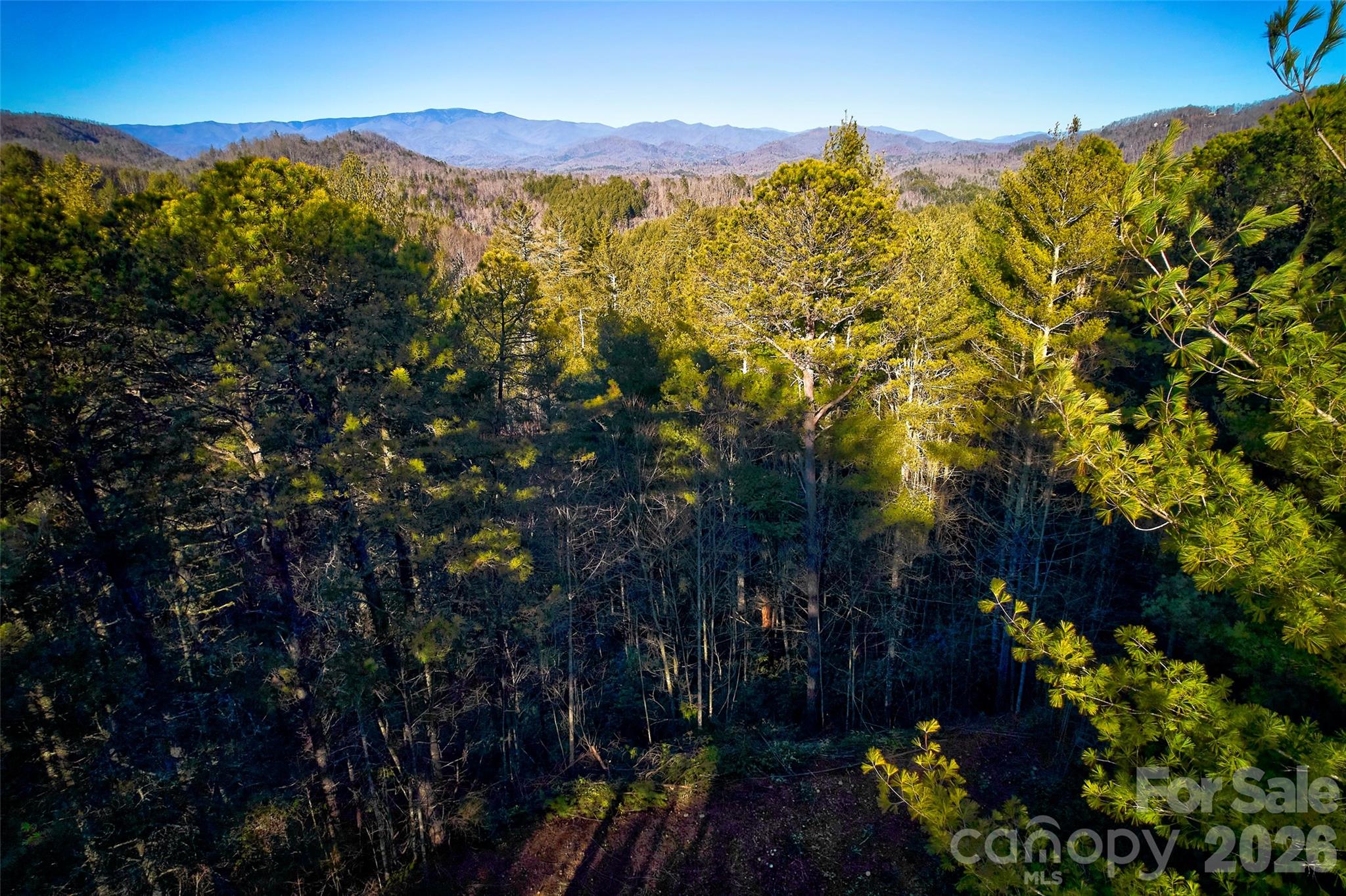 If you love NOC and Bryson City, this should be your new house site. This secluded little subdivision is quiet but has fast access to 74 and Bryson City. It is about five minutes from the site to NOC, and it is close to Tsali, the swimming spot on Fontana Lake, and the Appalachian Trail. Please no drive-by's, it is difficult to find.