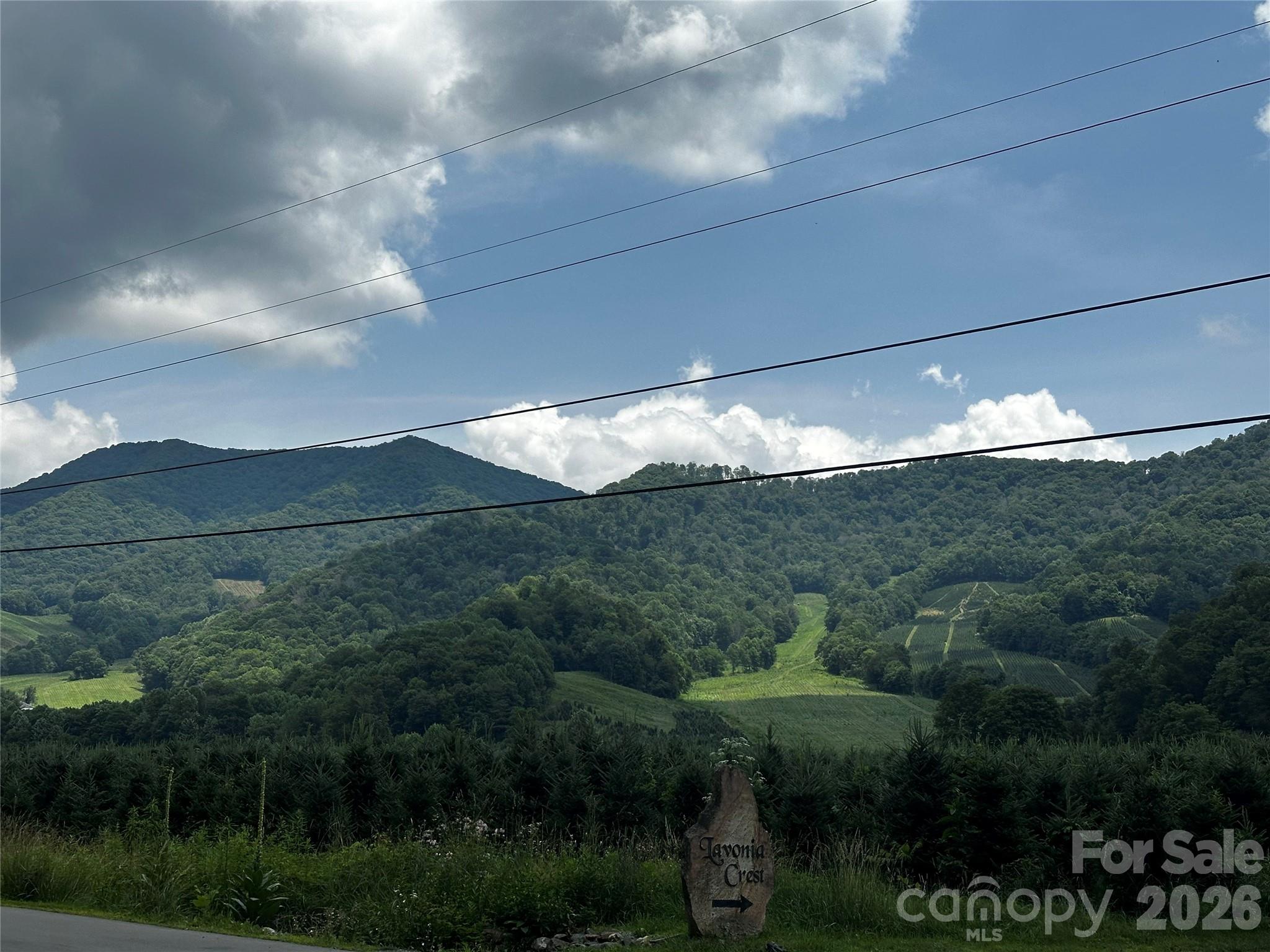 Escape to the beauty of the Blue Ridge Mountains with this stunning 12.5-acre property in the desirable Glen Ayre community. Featuring a peaceful creek, high elevation, and breathtaking mountain scenery, this property is the perfect setting for your dream mountain getaway or a full-time residence.
With easy access, you’ll enjoy the privacy of mountain living while remaining just a short drive to town. Outdoor enthusiasts will love being close to the Appalachian Trail, offering endless opportunities for hiking, exploring, and enjoying the natural beauty of Western North Carolina.
Whether you’re planning to build a cozy cabin, a luxury mountain retreat, or your forever home, this exceptional property offers the perfect blend of convenience, tranquility, and spectacular views. Don’t miss your chance to own a piece of the mountains in beautiful WNC!