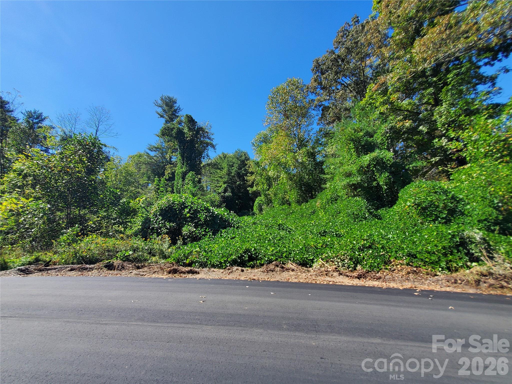 Leonis Mountain Lake Homes - Land