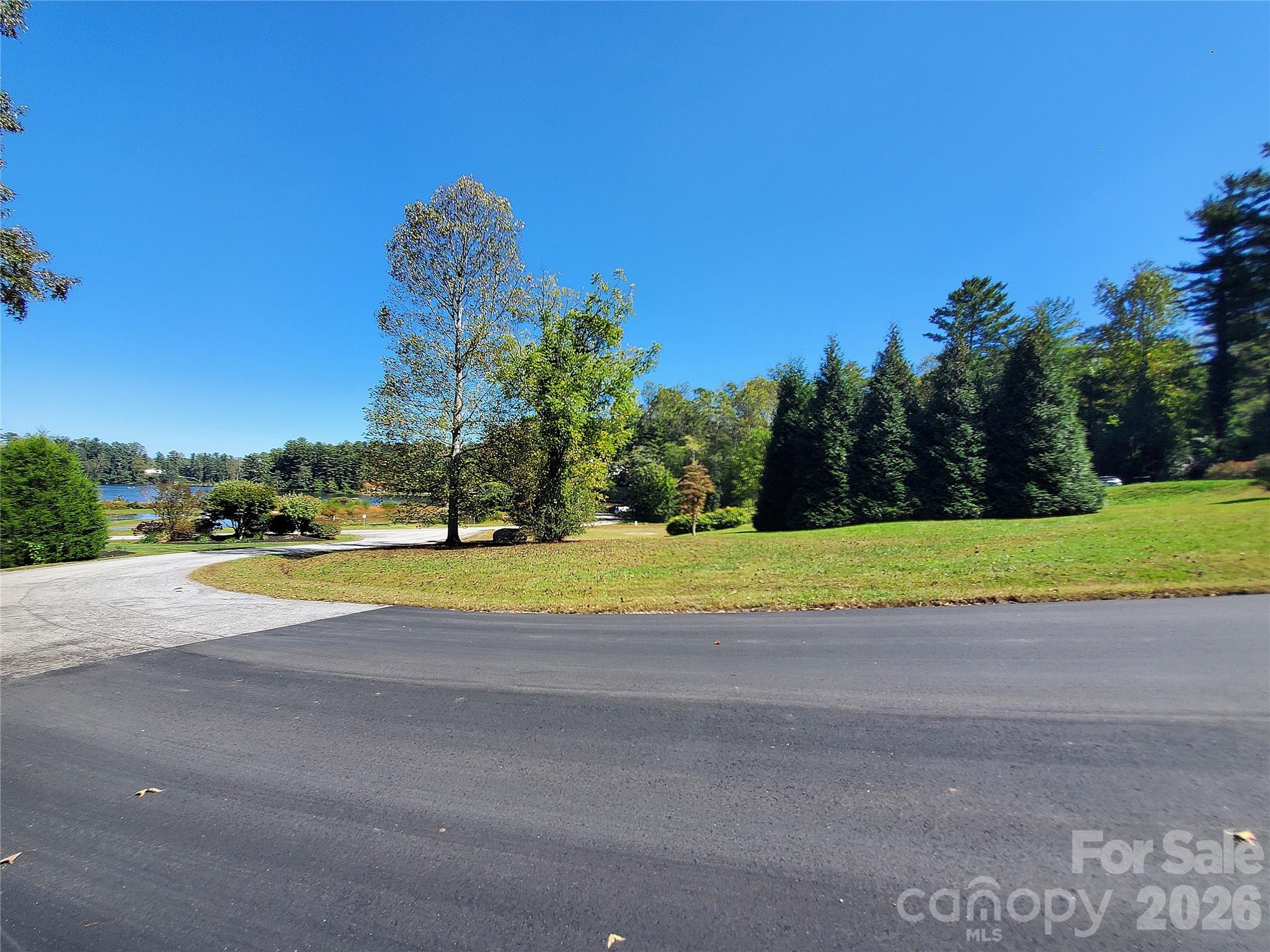 Leonis Mountain Lake Homes - Land