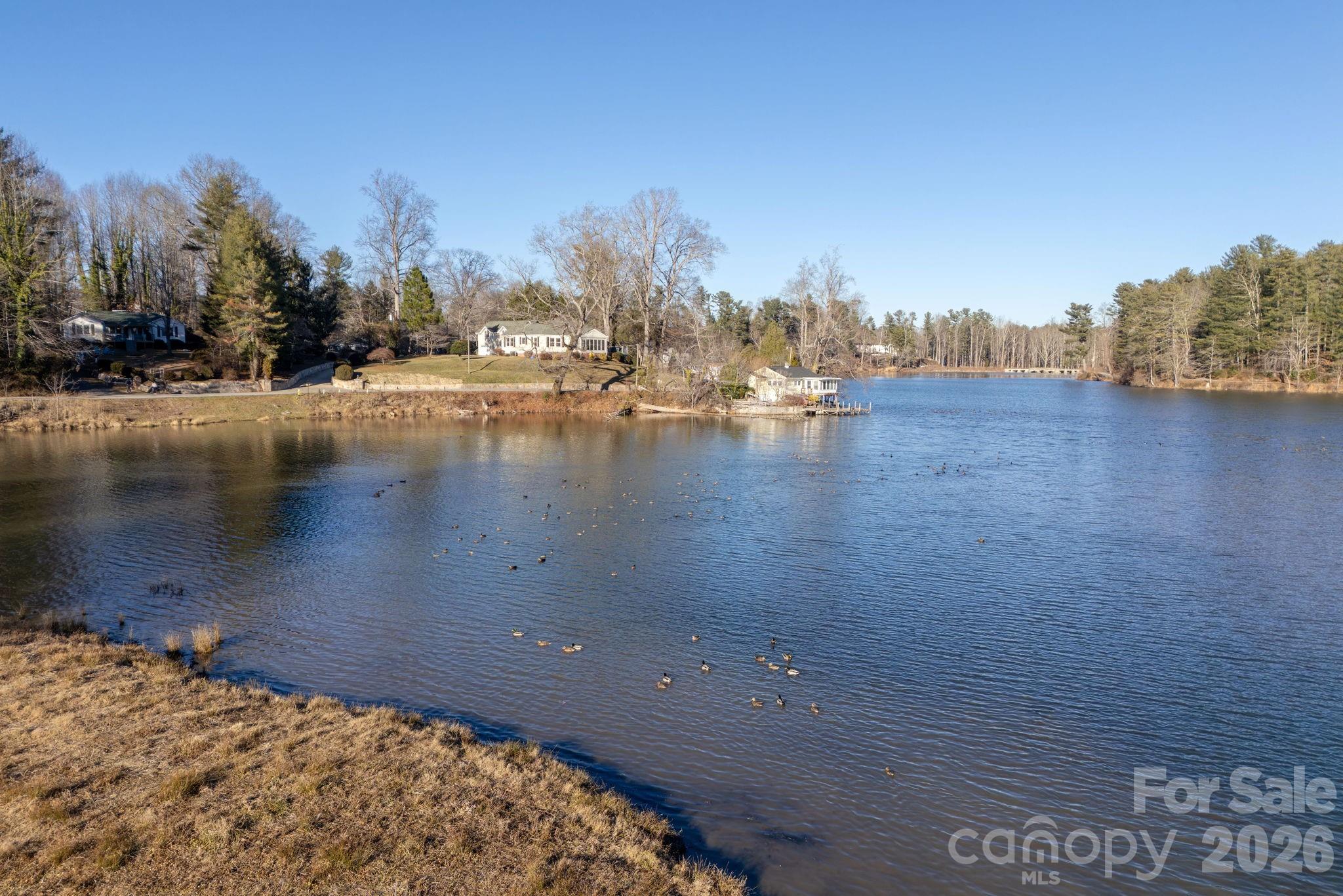 Leonis Mountain Lake Homes - Land