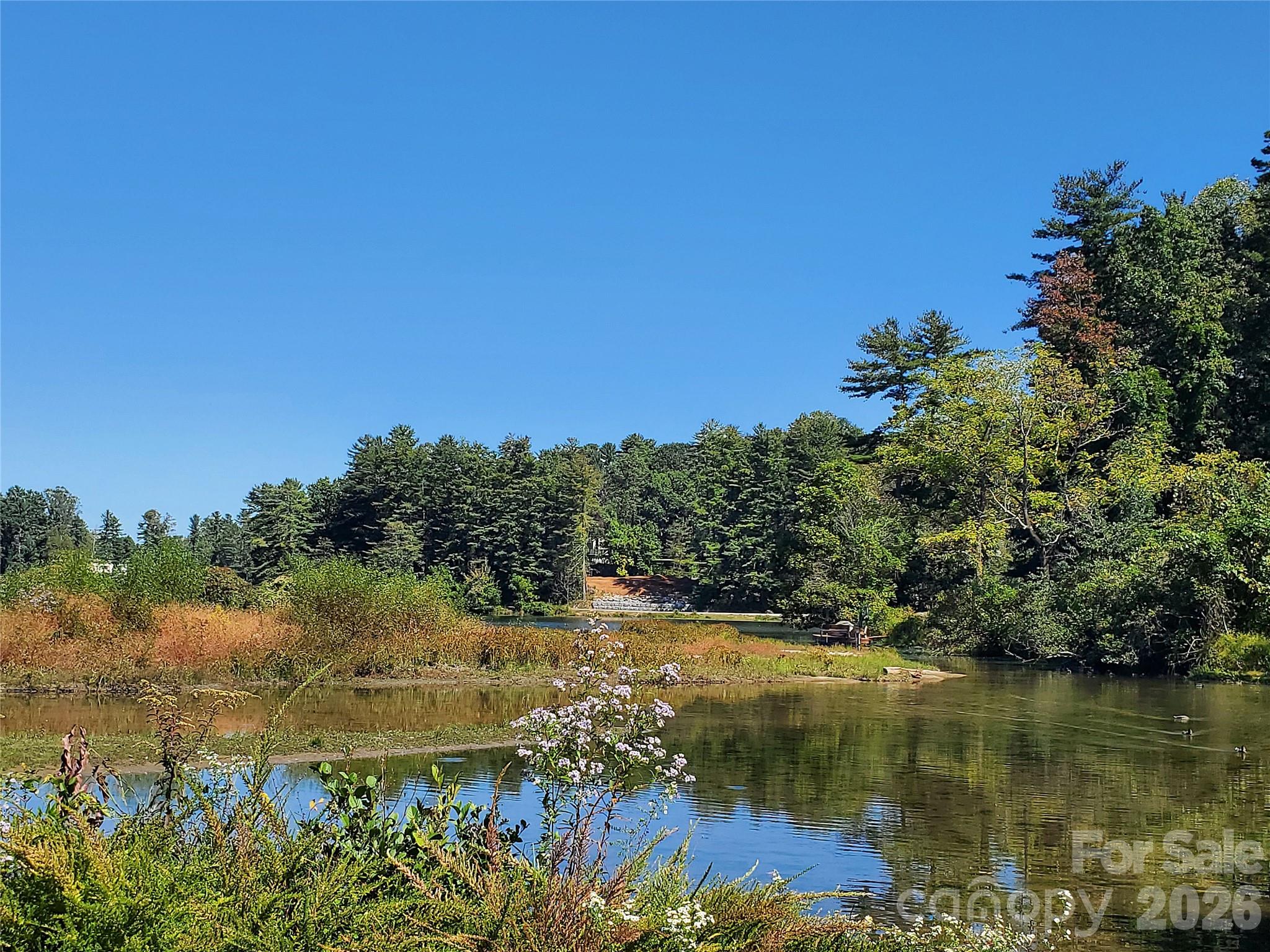 Leonis Mountain Lake Homes - Land