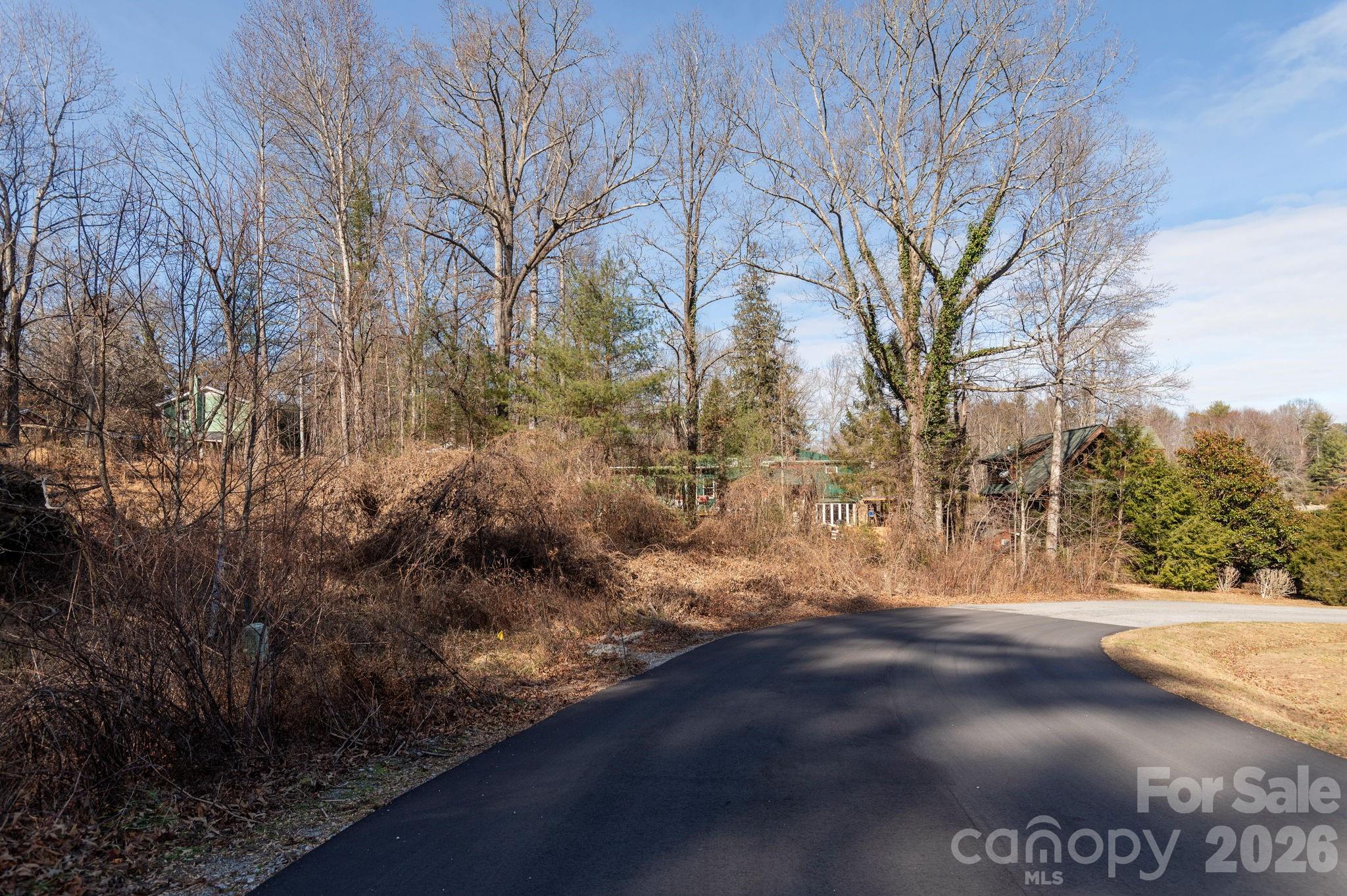 Leonis Mountain Lake Homes - Land