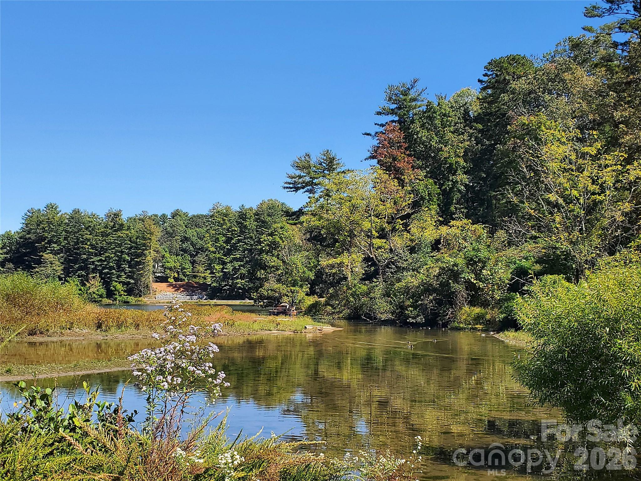 Leonis Mountain Lake Homes - Land