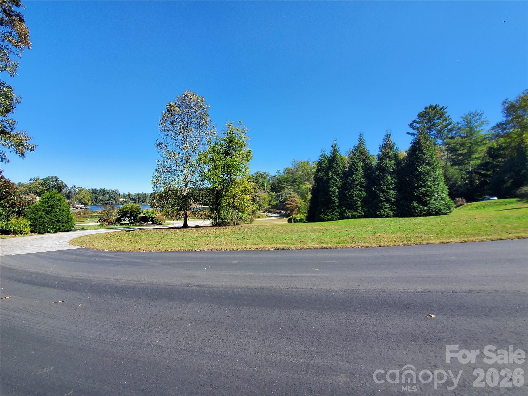 Leonis Mountain Lake Homes - Land