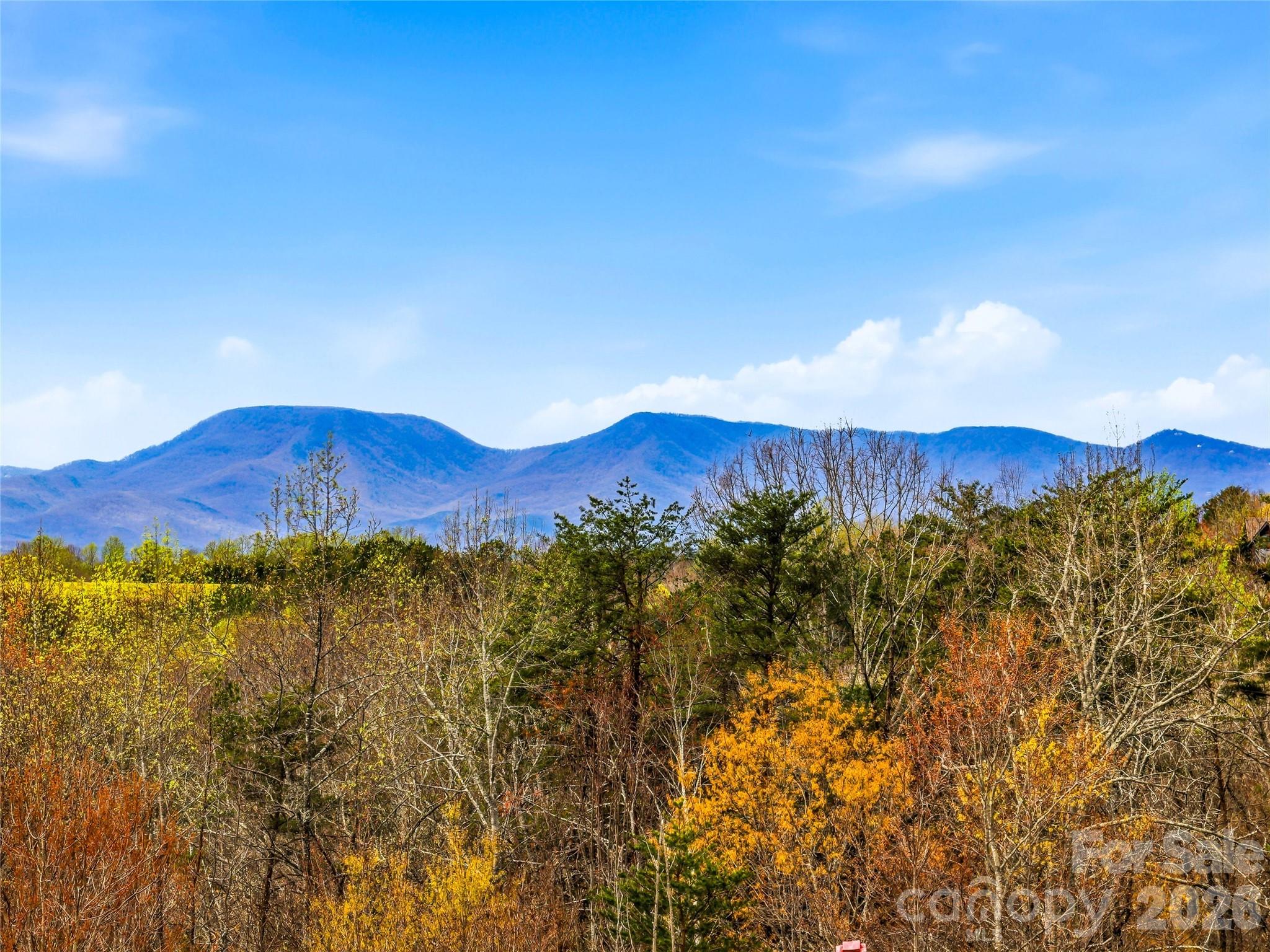 Hughes Creek Preserve - Residential