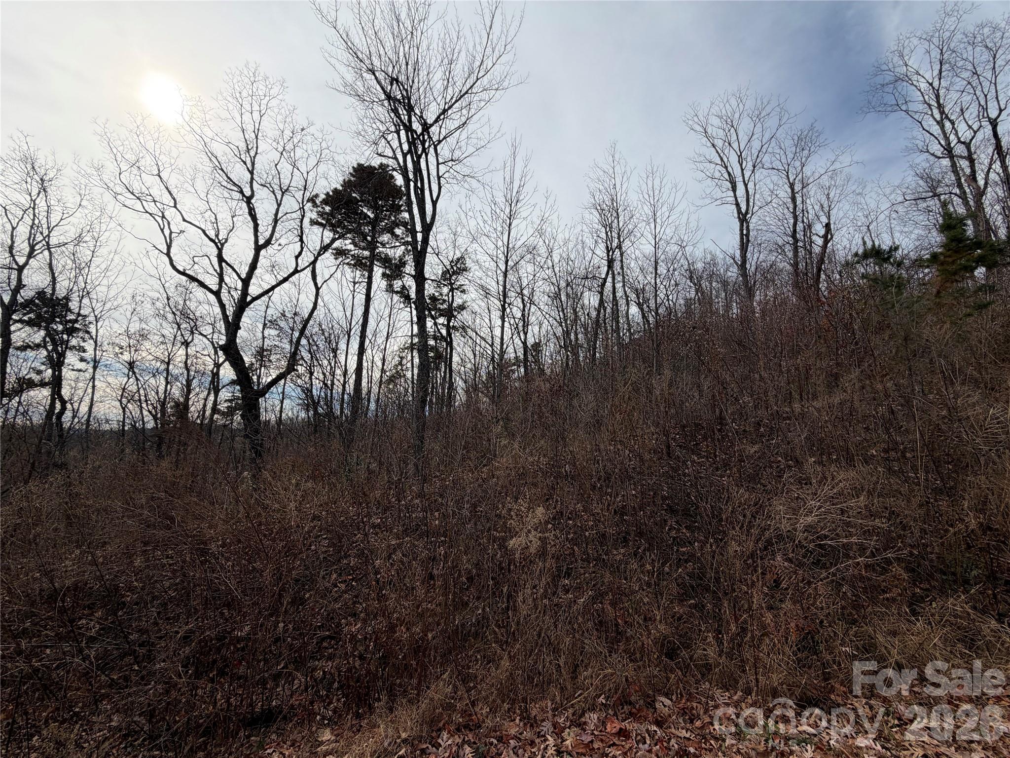 Grey Rock at Lake Lure - Land